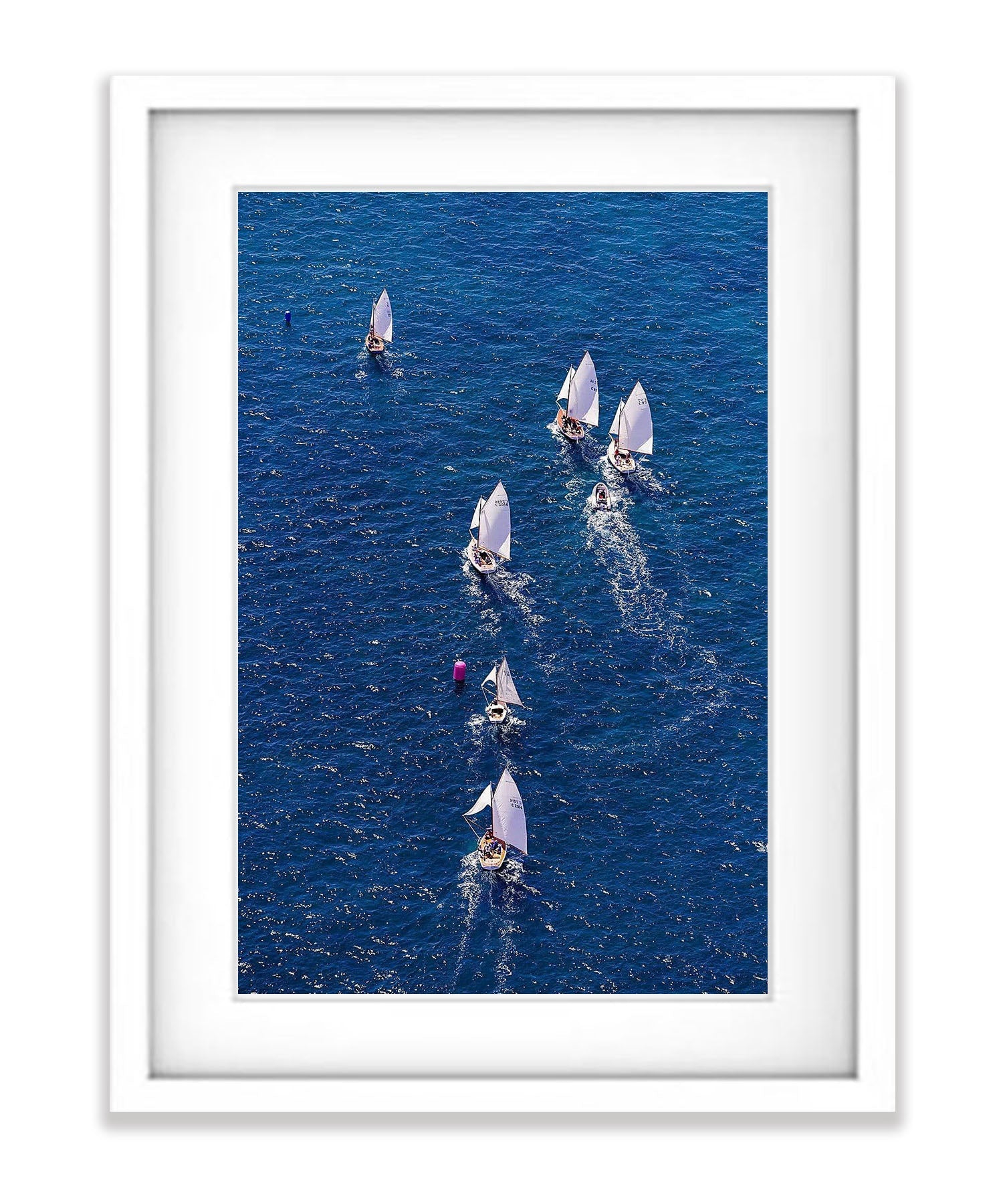 Couta Boat Racing, Sorrento, Mornington Peninsula, VIC