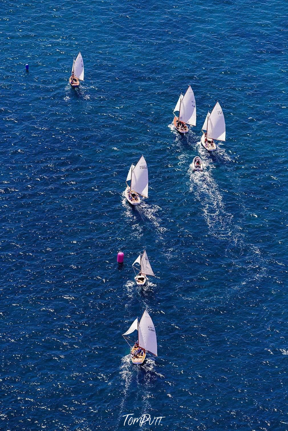 Couta boat racing in the dark blue ocean, Couta boat racing, Sorrento - Mornington Peninsula Victoria