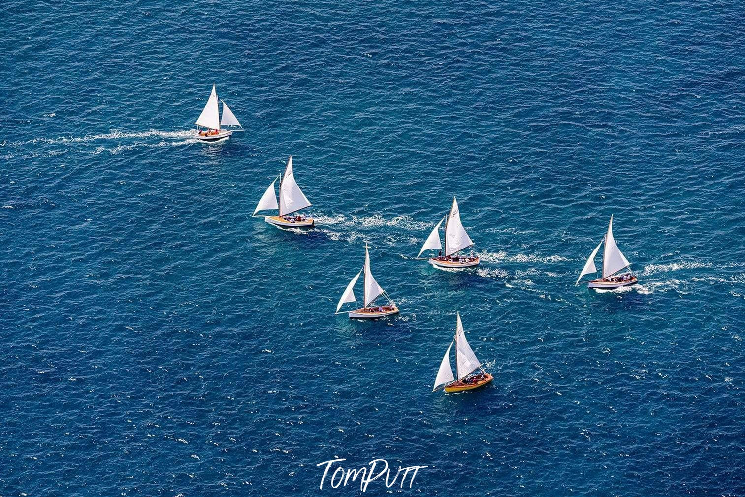 A landscape view of Couta boat racing in the dark blue ocean, Couta Boats , Sorrento - Mornington Peninsula Victoria