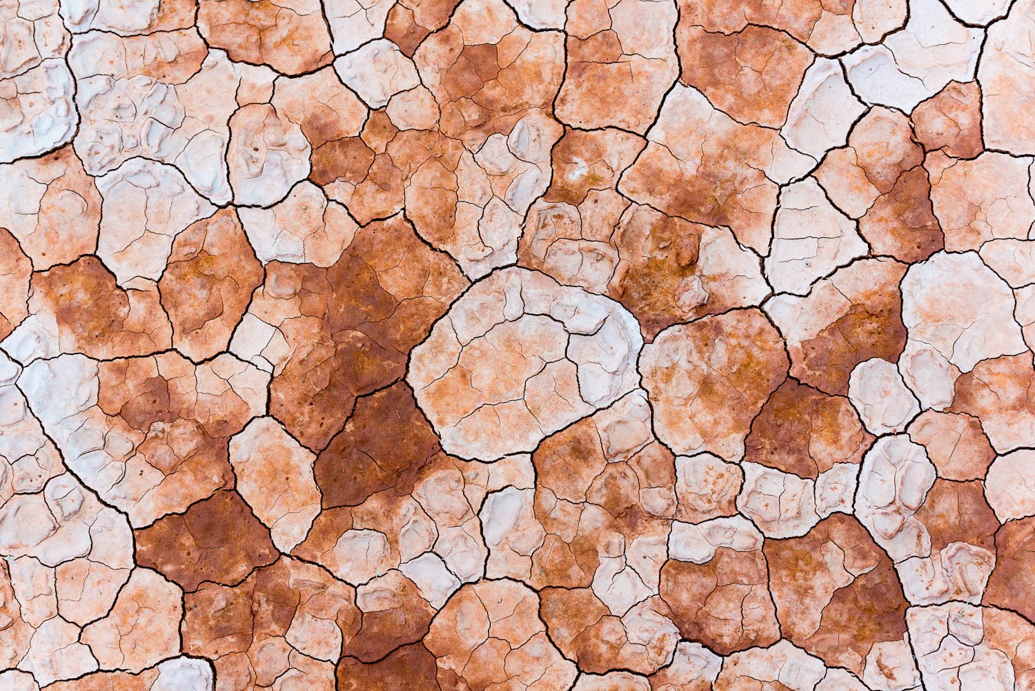 A beautiful cracked texture on a stone-like surface with brown, powder, and mustard colors, Cracked Claypan, Red Centre - Northern Territory