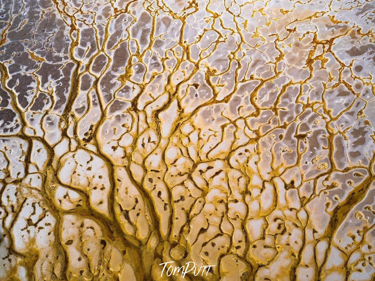 A squared shape of a lake with a weird texture of cracks of parrot color, Cracked Lake Eyre Artwork