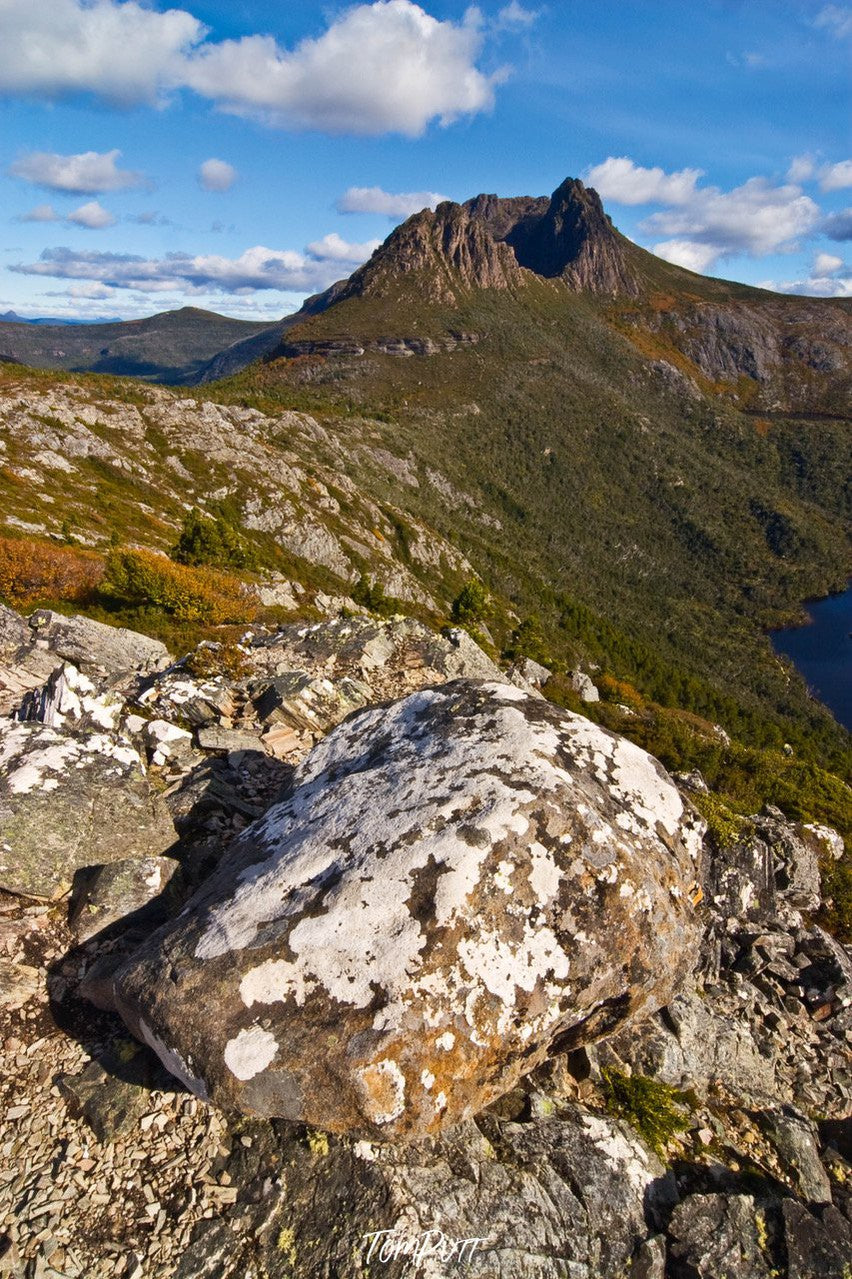High grassy mountain, and some stones in the foreground, Cradle Mountain #5, Tasmania