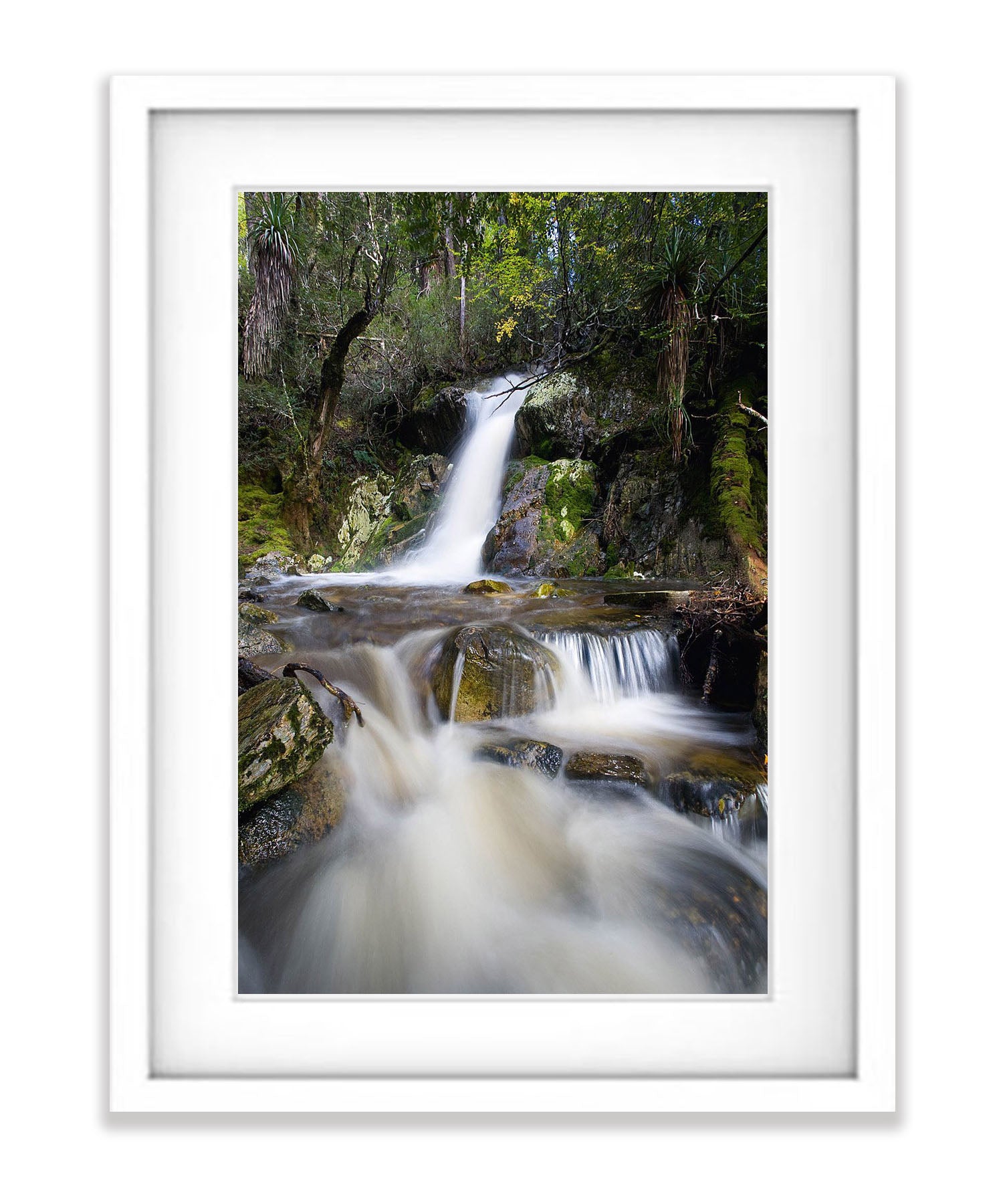 Crater Falls, Overland Track, Cradle Mountain, Tasmania