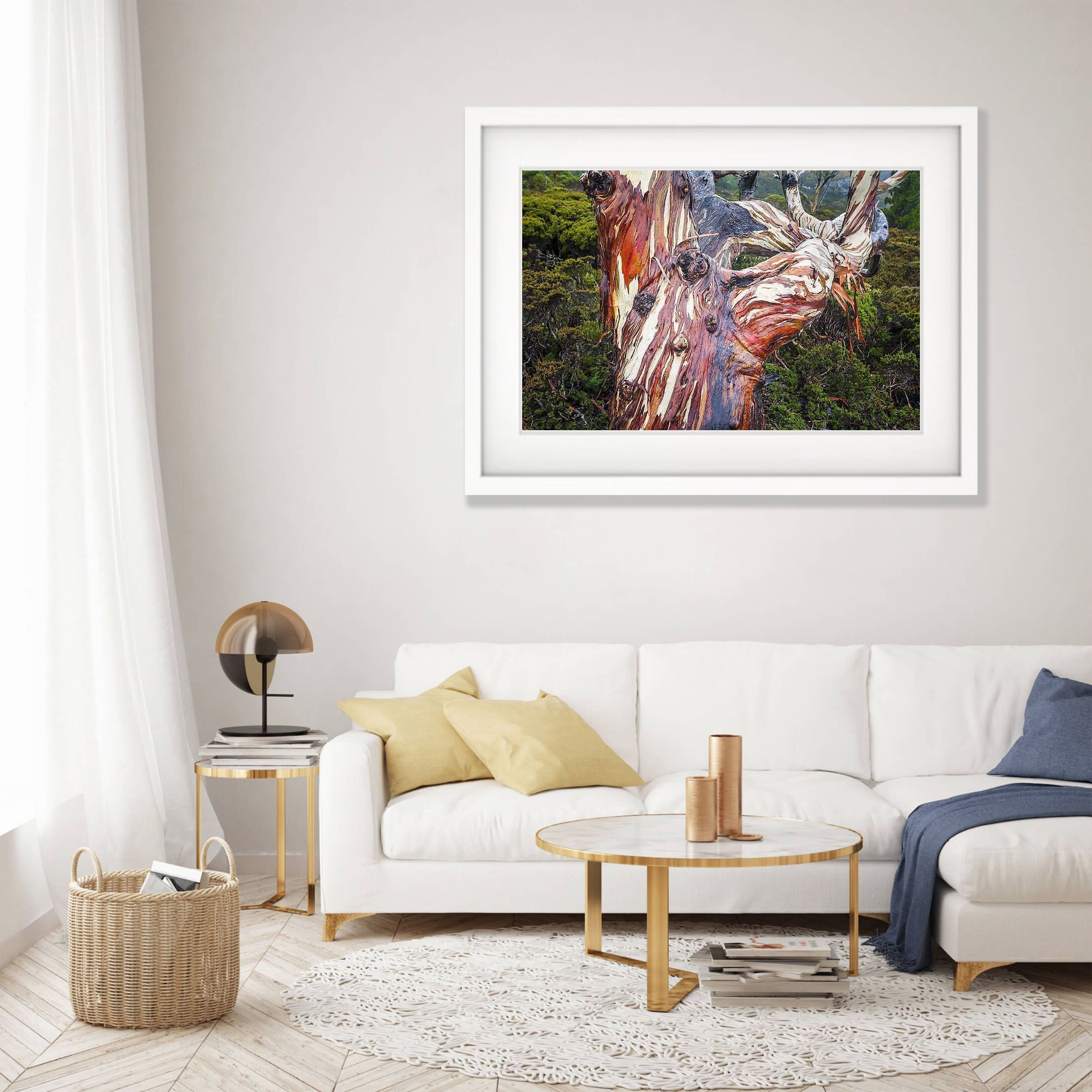 Crimson Snow Gum - Cradle Mountain TAS