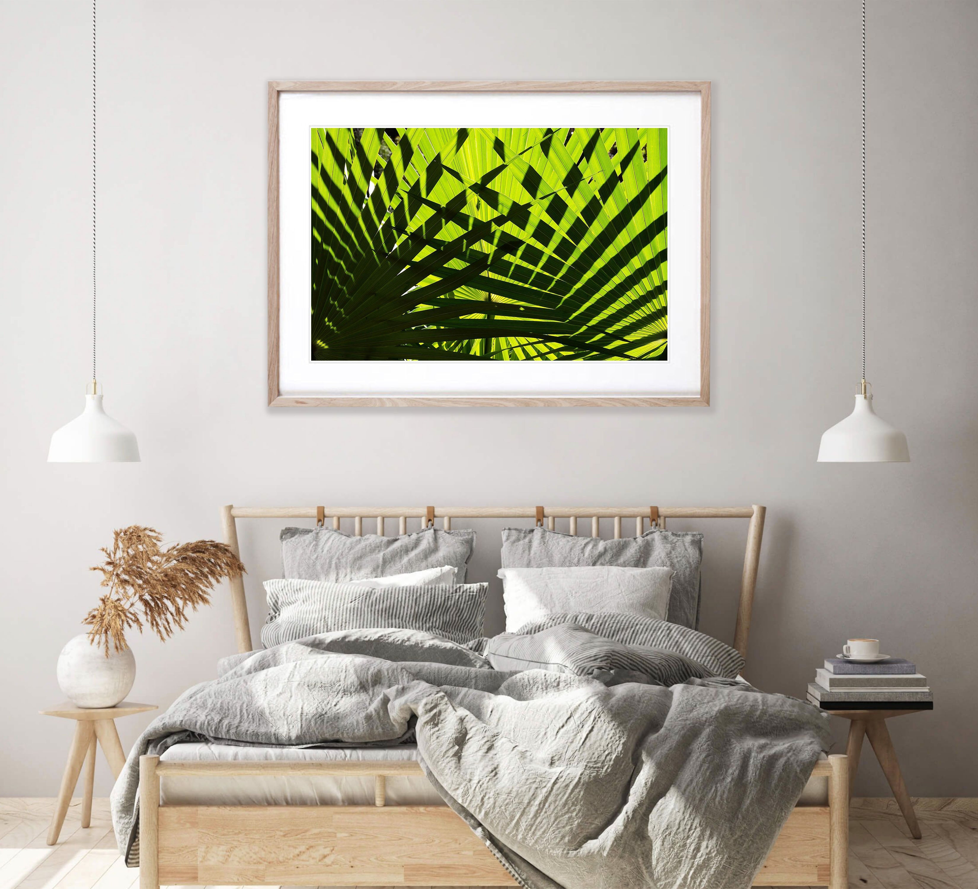Crossover, Livistona Palms, The Kimberley