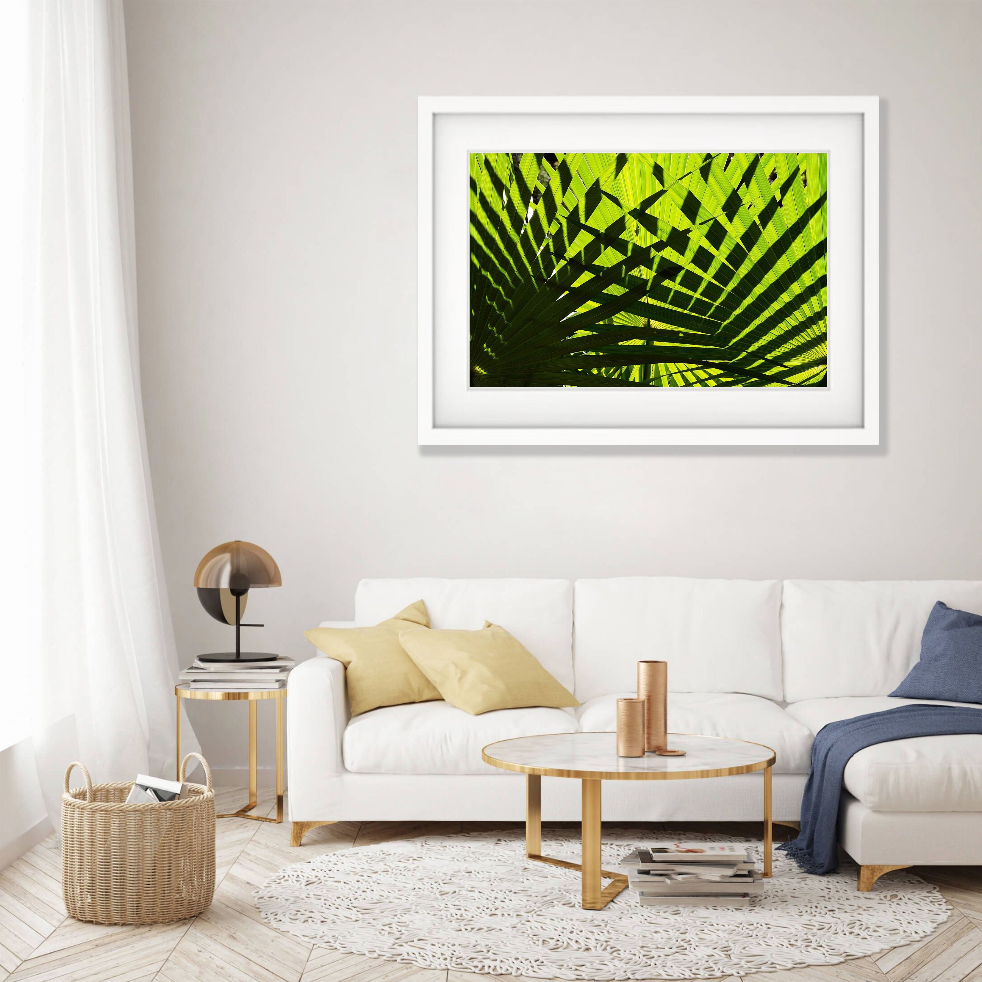 Crossover, Livistona Palms, The Kimberley