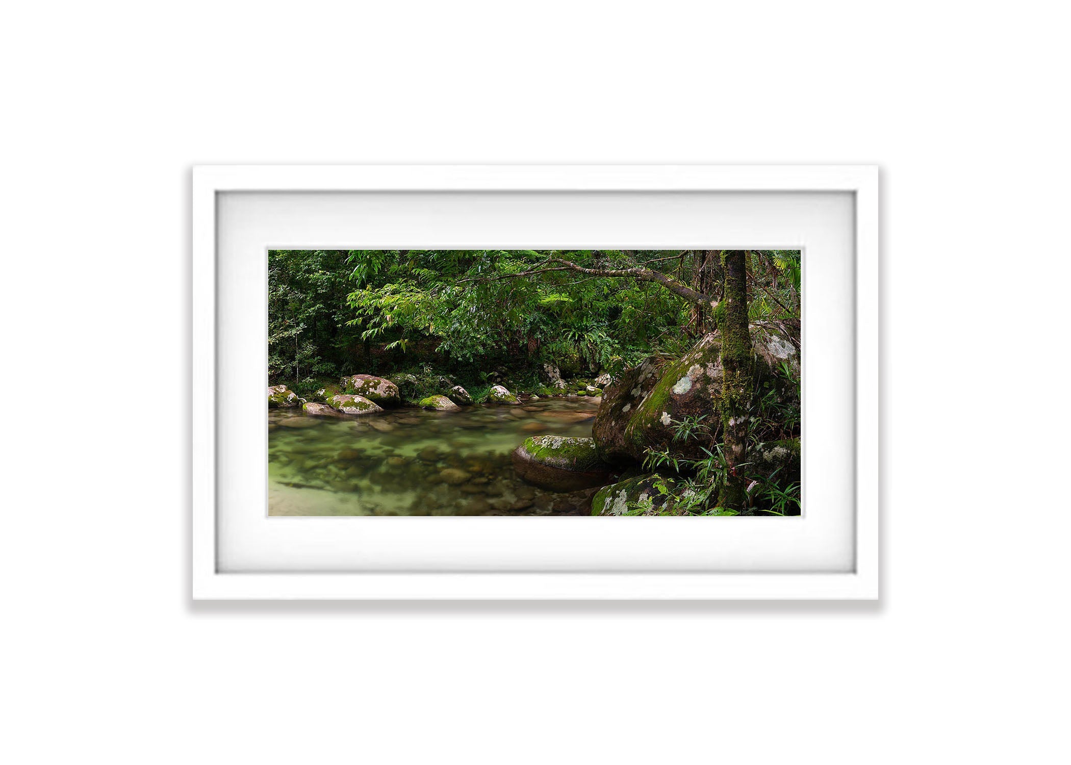 Crystal Clear Water, Rainforest Stream, Far North Queensland