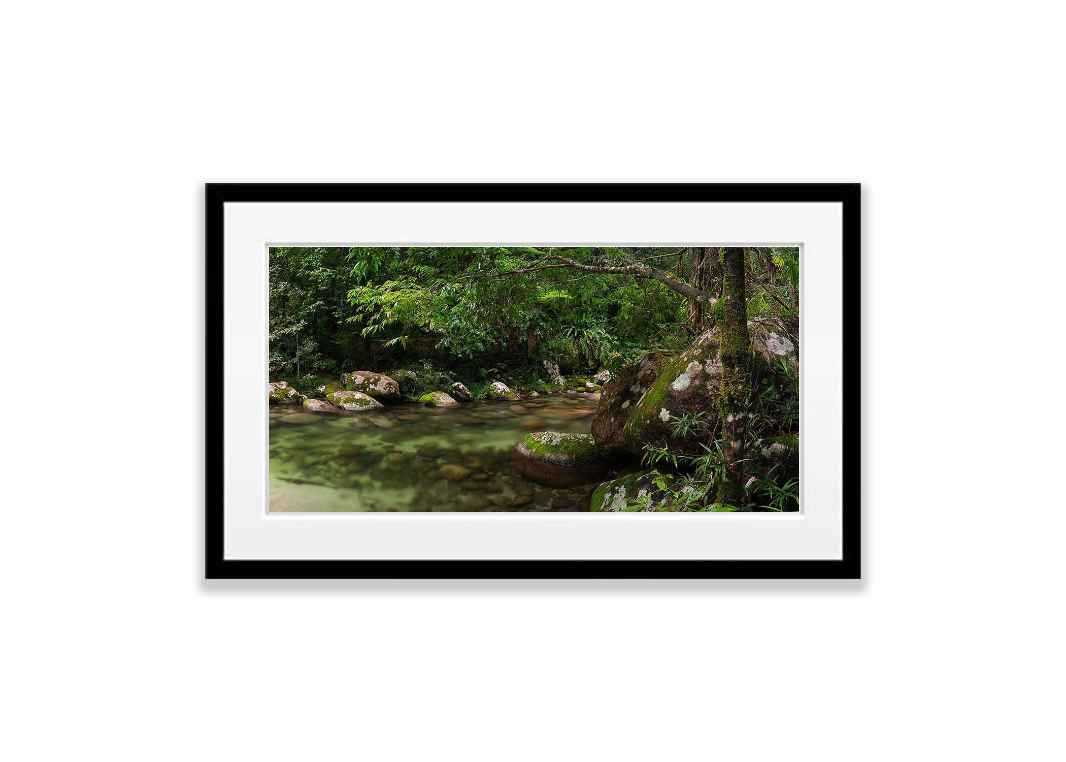 Crystal Clear Water, Rainforest Stream, Far North Queensland