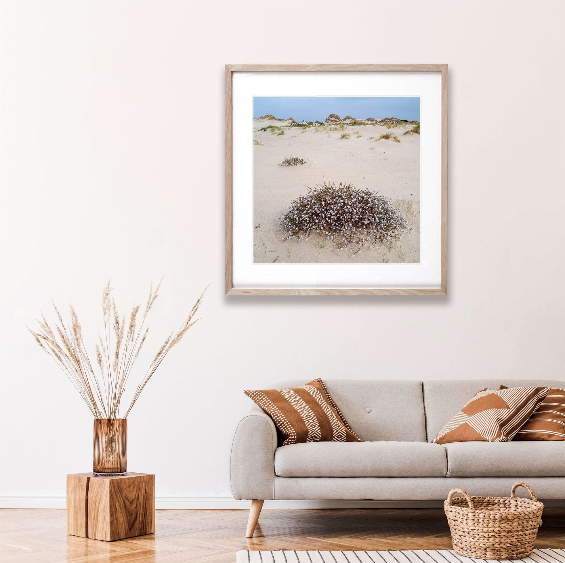 Cushion Plant in flower, Bay of Fires