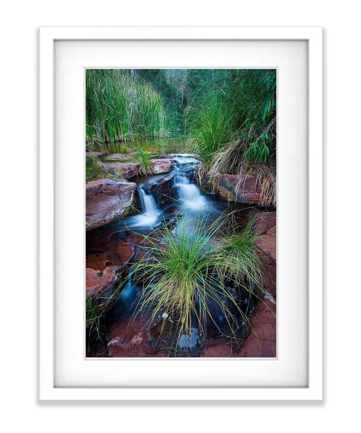 Dales Gorge Creek - Karijini, The Pilbara