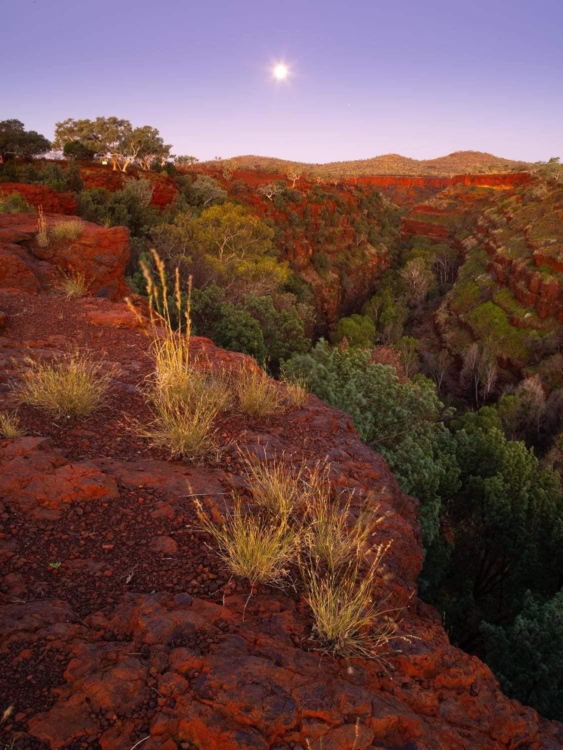 A Mars-like land area with a lot of trees and plants below, Standing sun with a low effect of sunlight, and a clear blue sky, Dales Moonrise - Karijini, The Pilbara