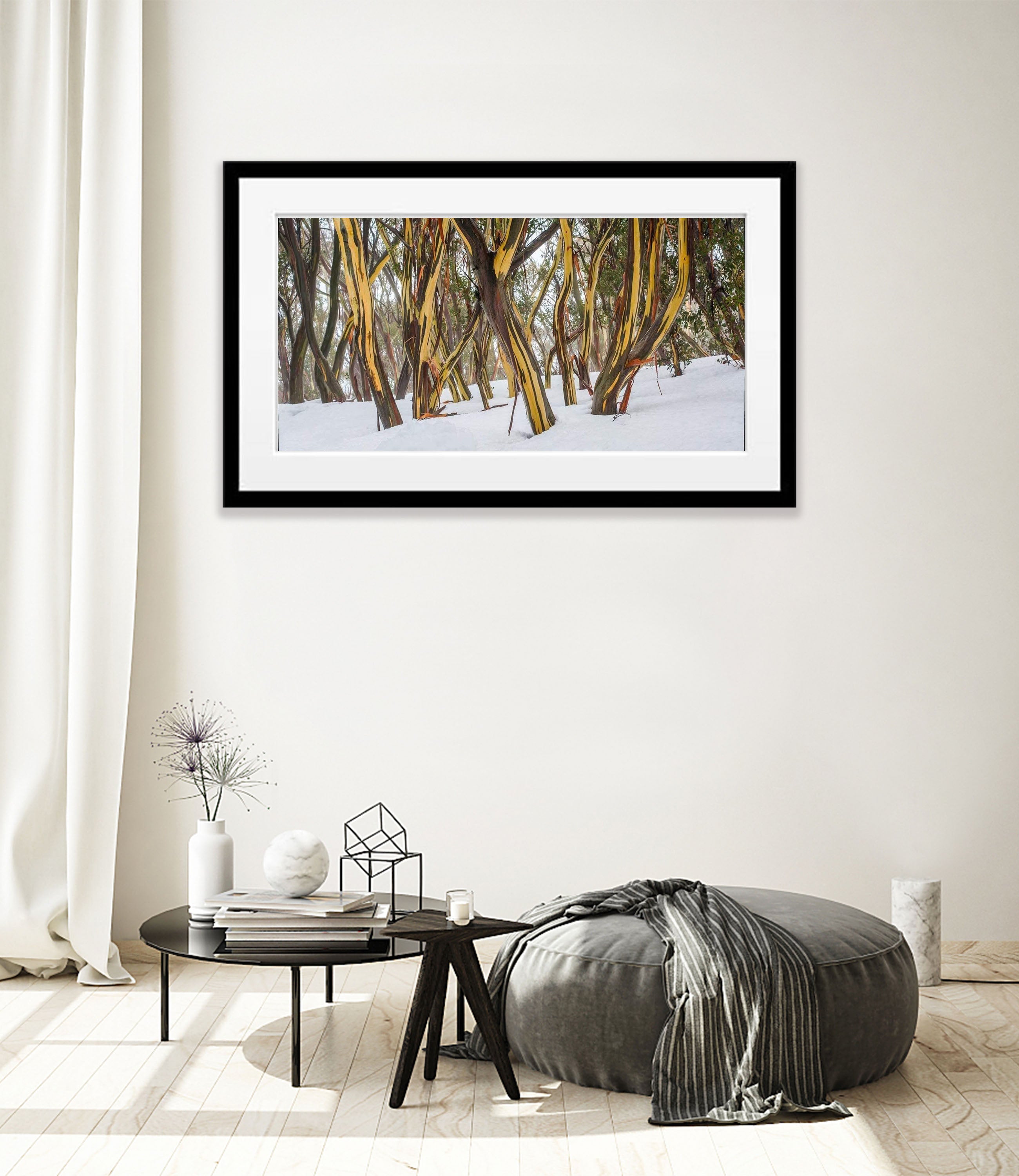 Dancing Snow Gums - Mt Hotham VIC