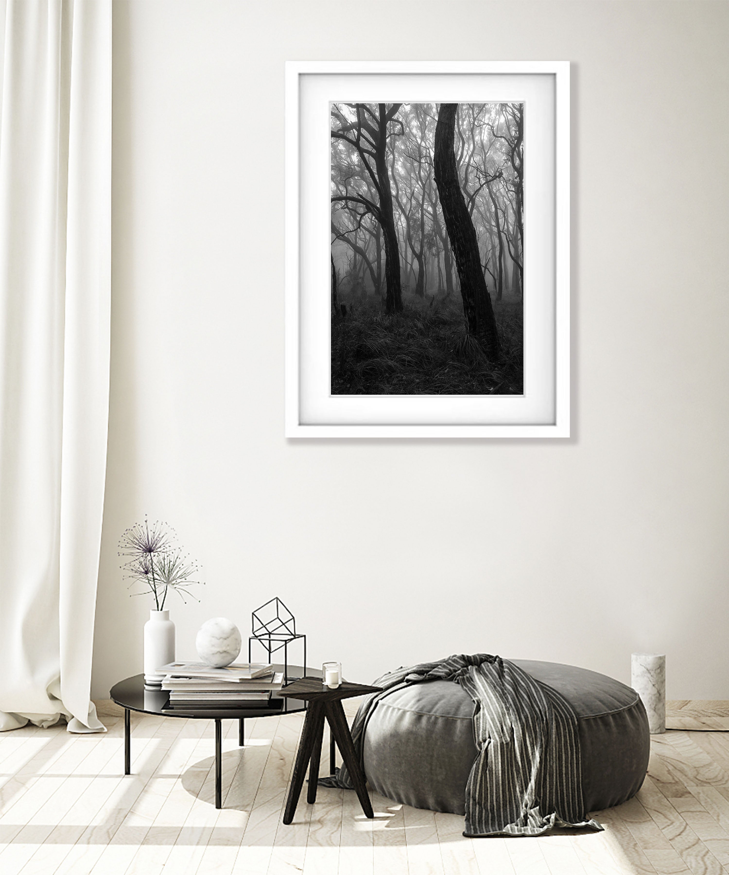Dancing Trees - Mornington Peninsula, VIC