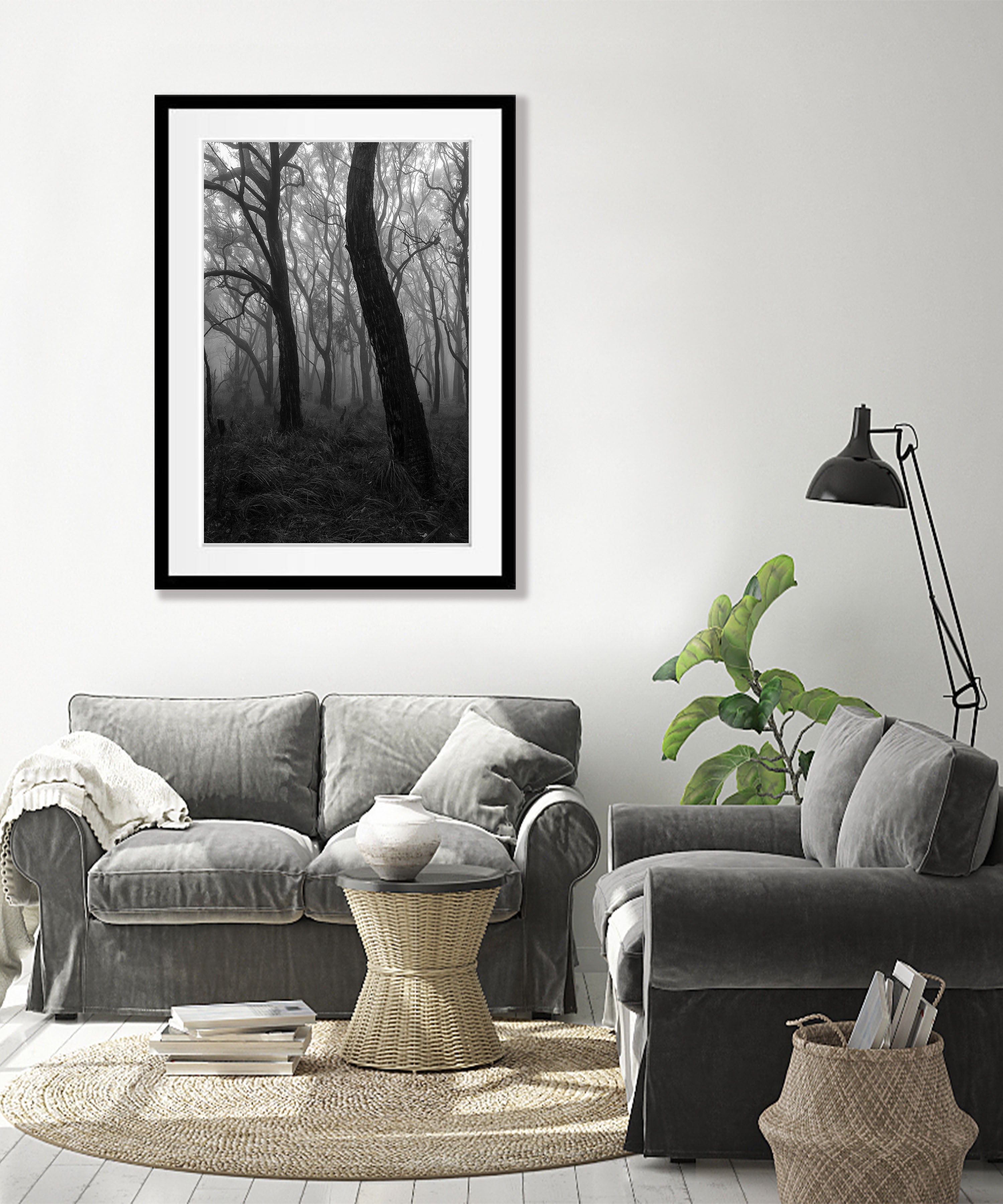 Dancing Trees - Mornington Peninsula, VIC