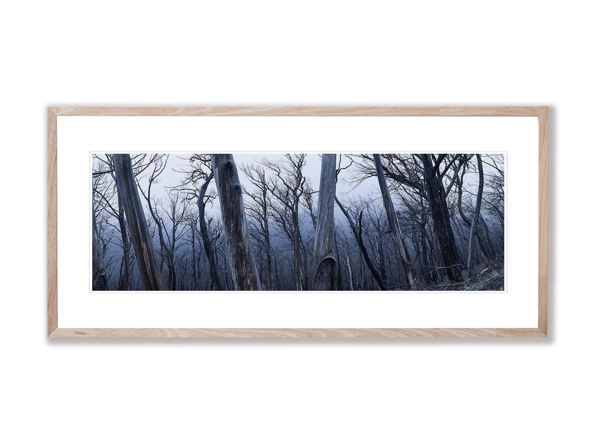 Dead Forest Mt Hotham, Victoria