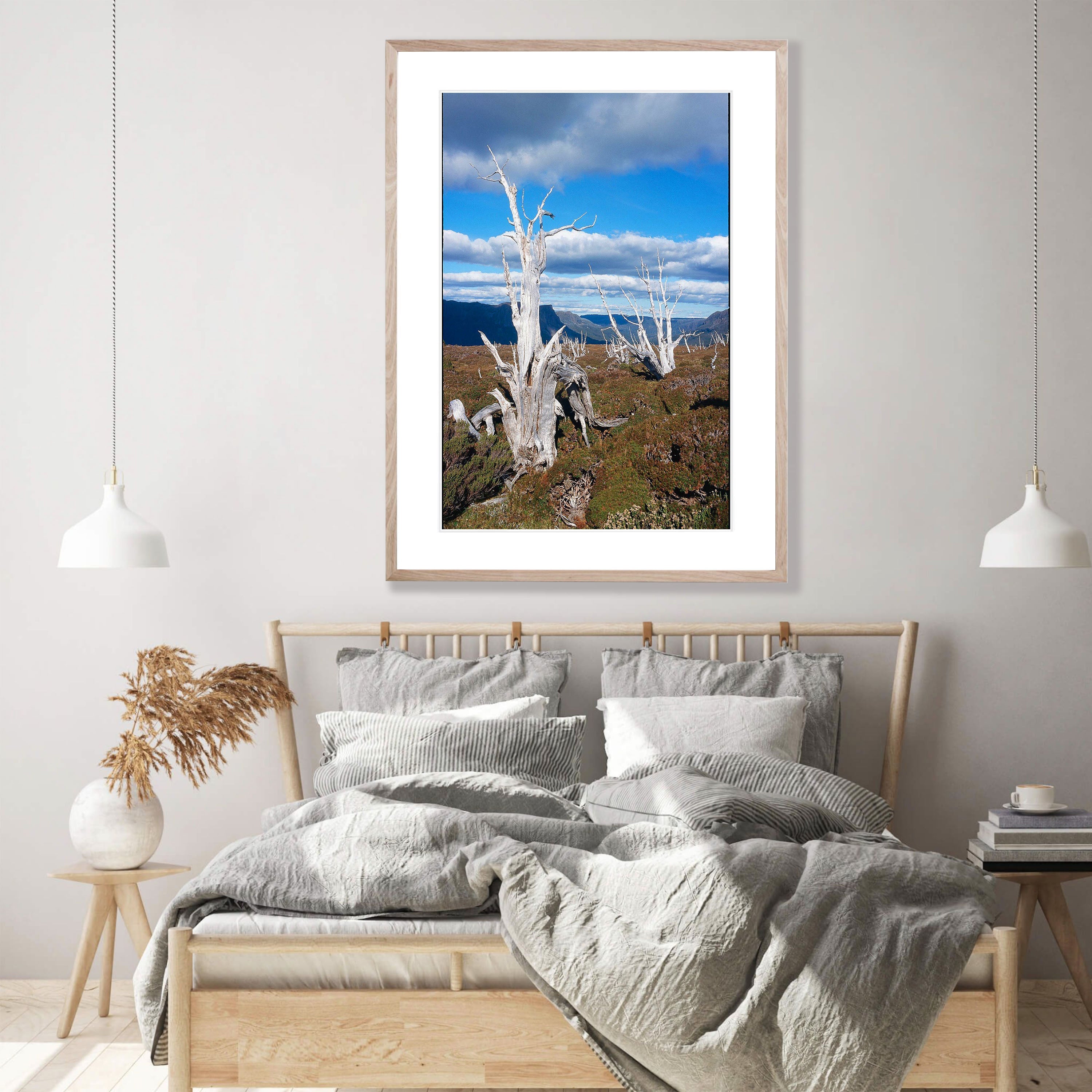 Dead Pencil Pines, Overland Track, Cradle Mountain, Tasmania