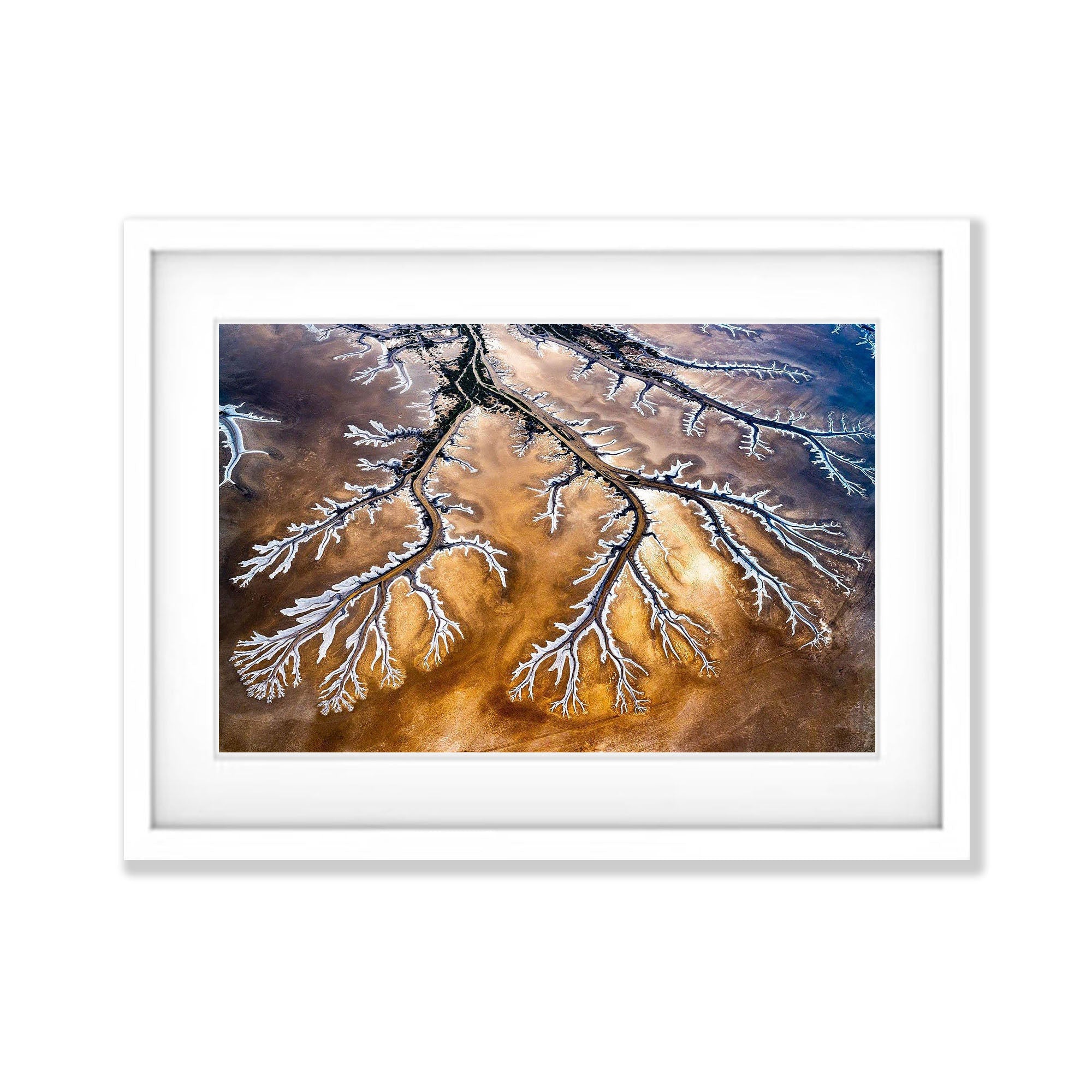 Nature's Veins, Derby