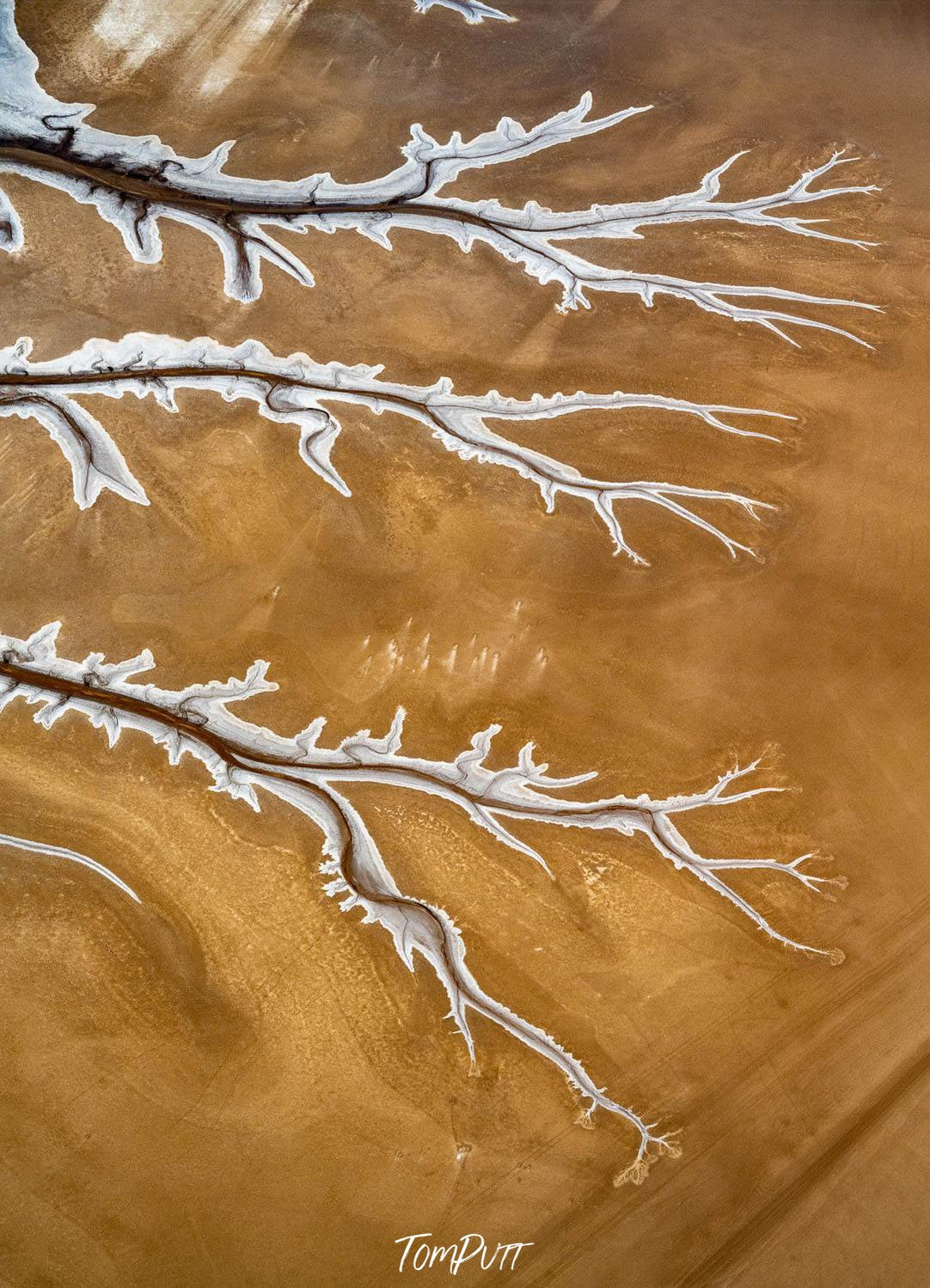 A large texture of solid lightening dark mustard color with three large leaf textures of powder color, Derby #17