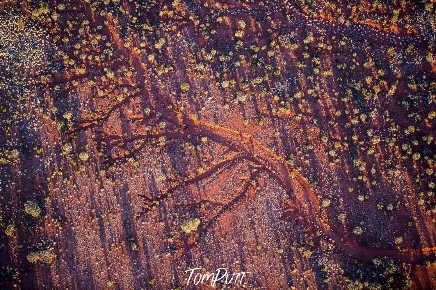 A desert-like land with tree texture with a lot of branches, and a lot of parrot-colored leaves on the ground, Desert Creek Bed Lake Art