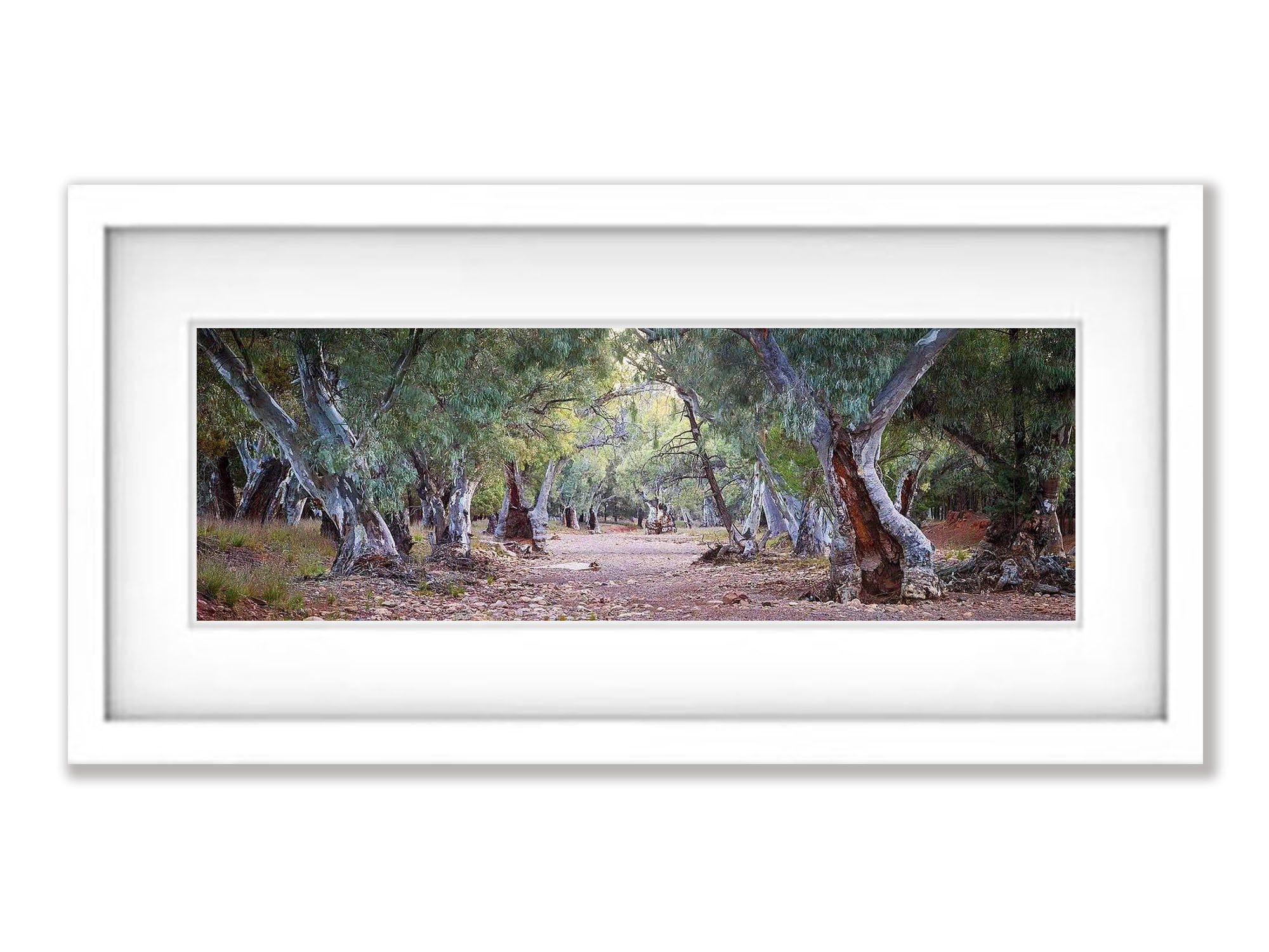 Dry Creek Bed - Flinders Ranges SA