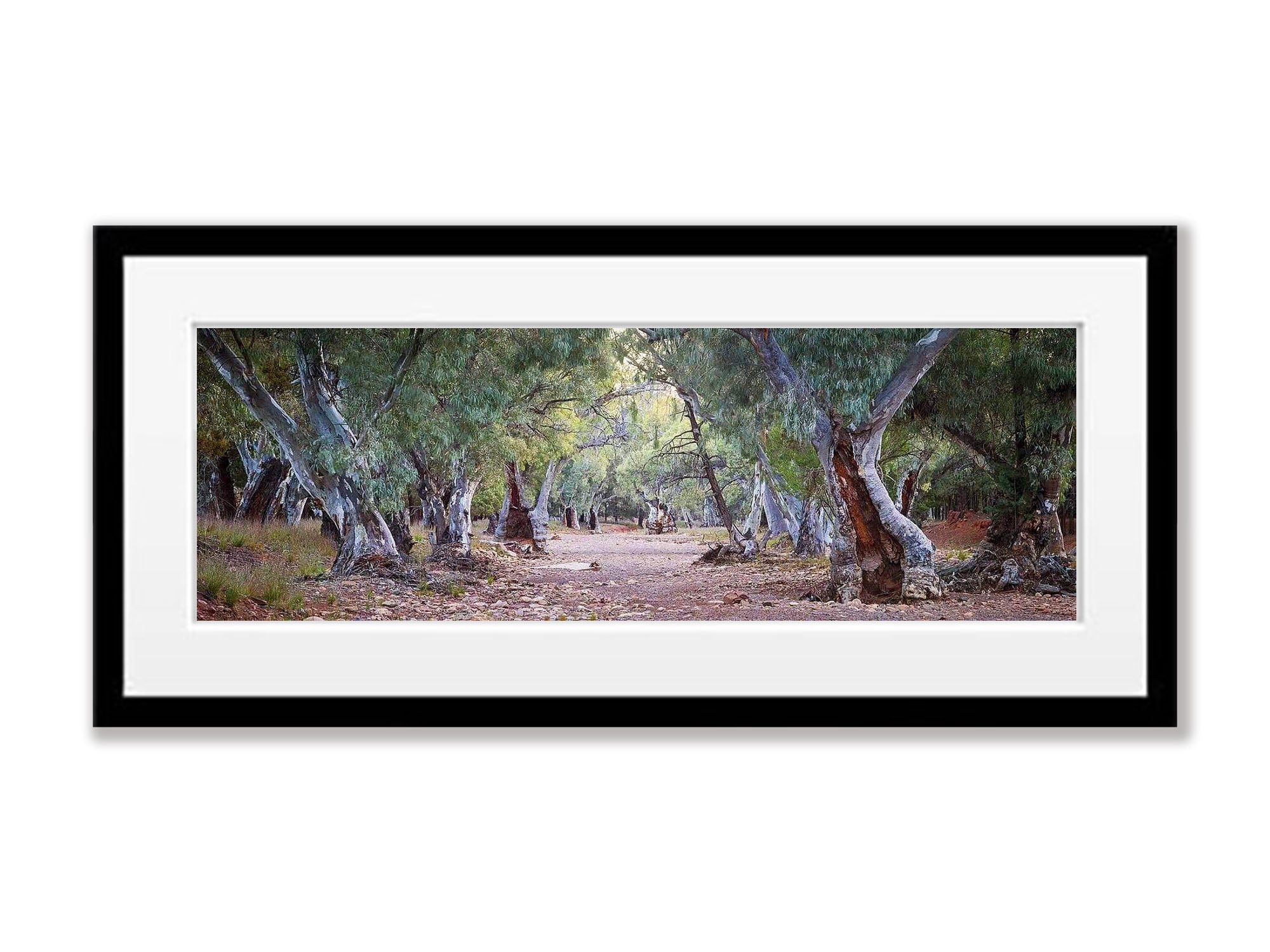 Dry Creek Bed - Flinders Ranges SA