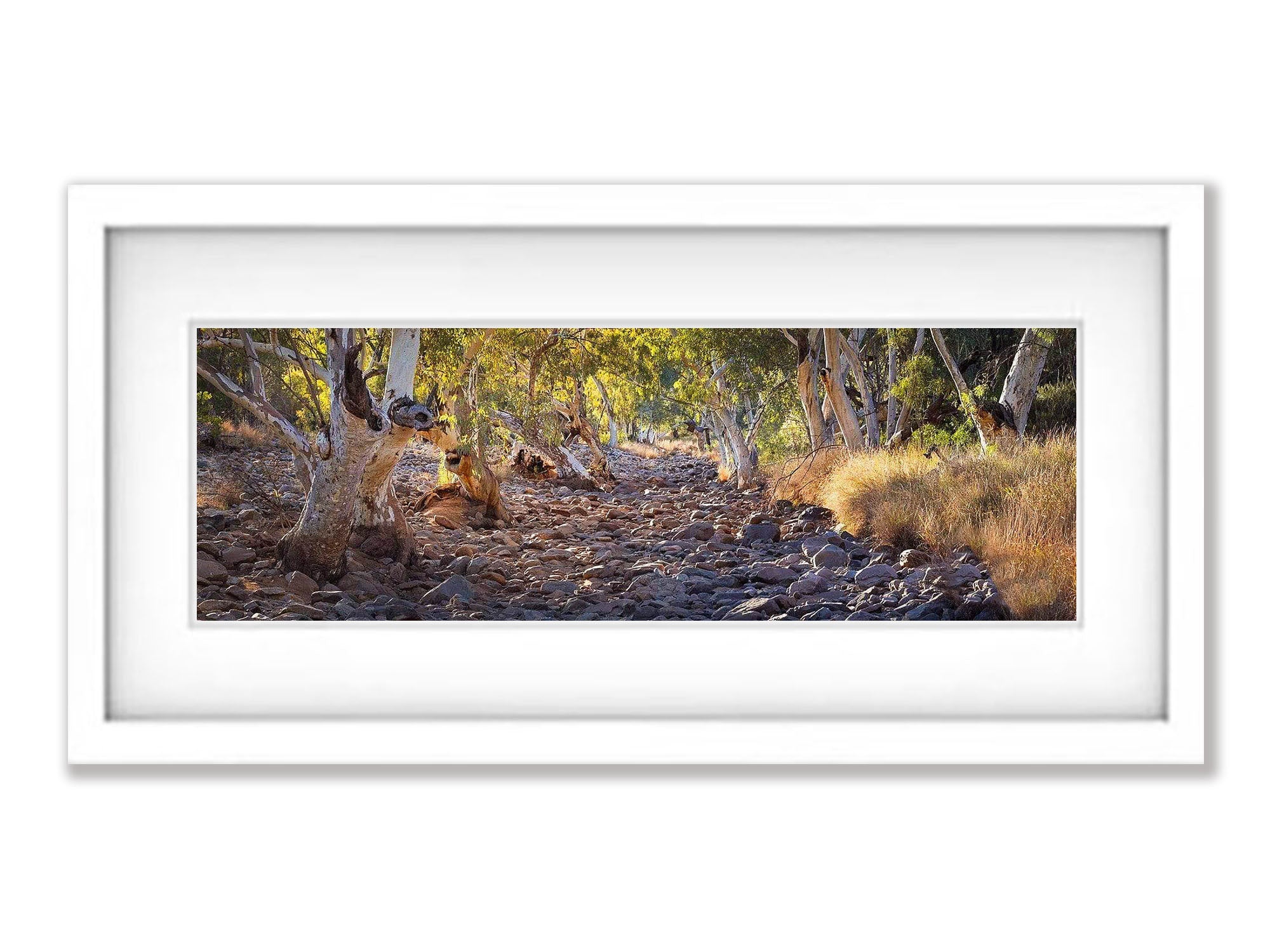 Dry Creek Bed - West Macdonnell Ranges, NT