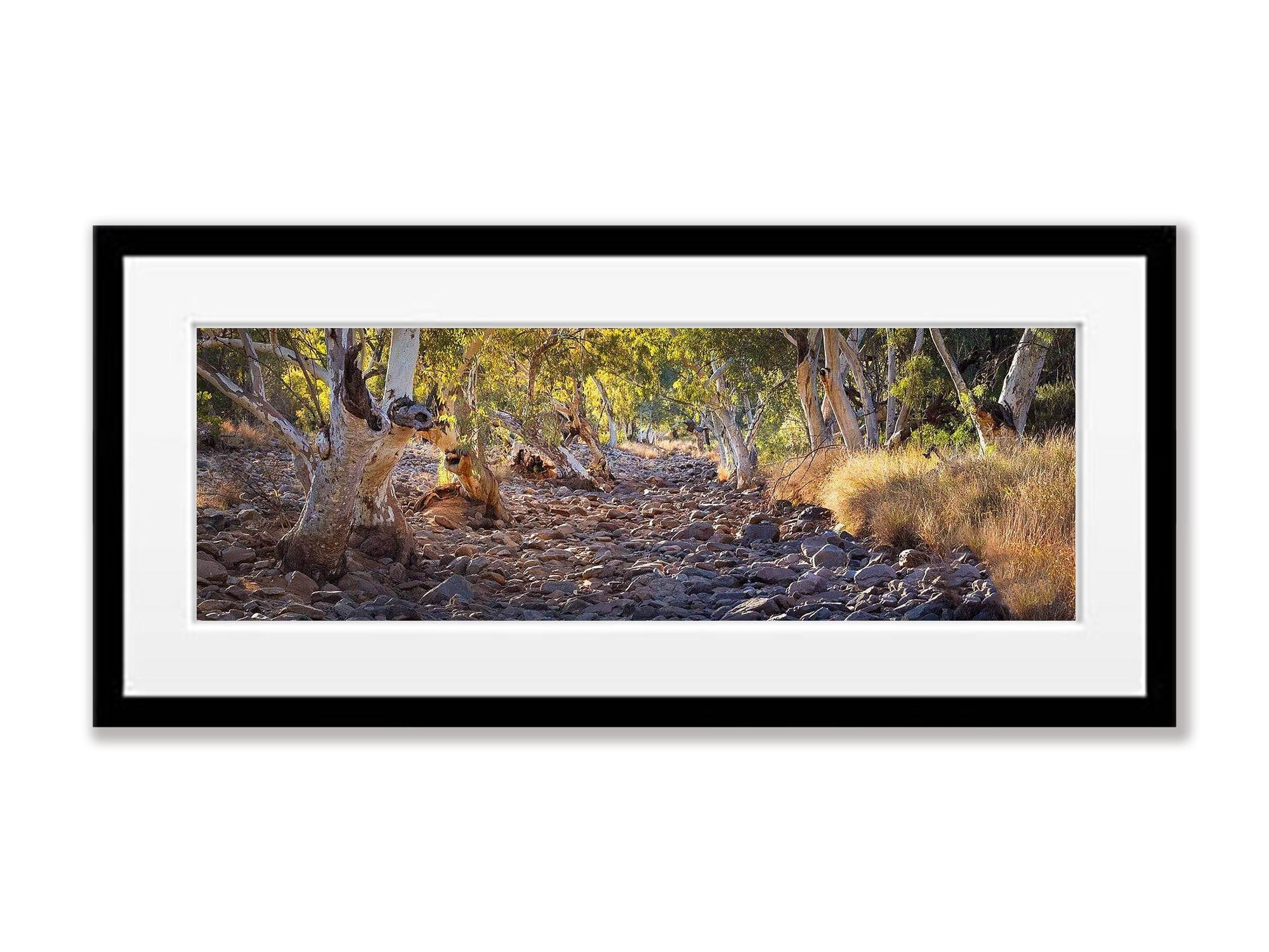 Dry Creek Bed - West Macdonnell Ranges, NT