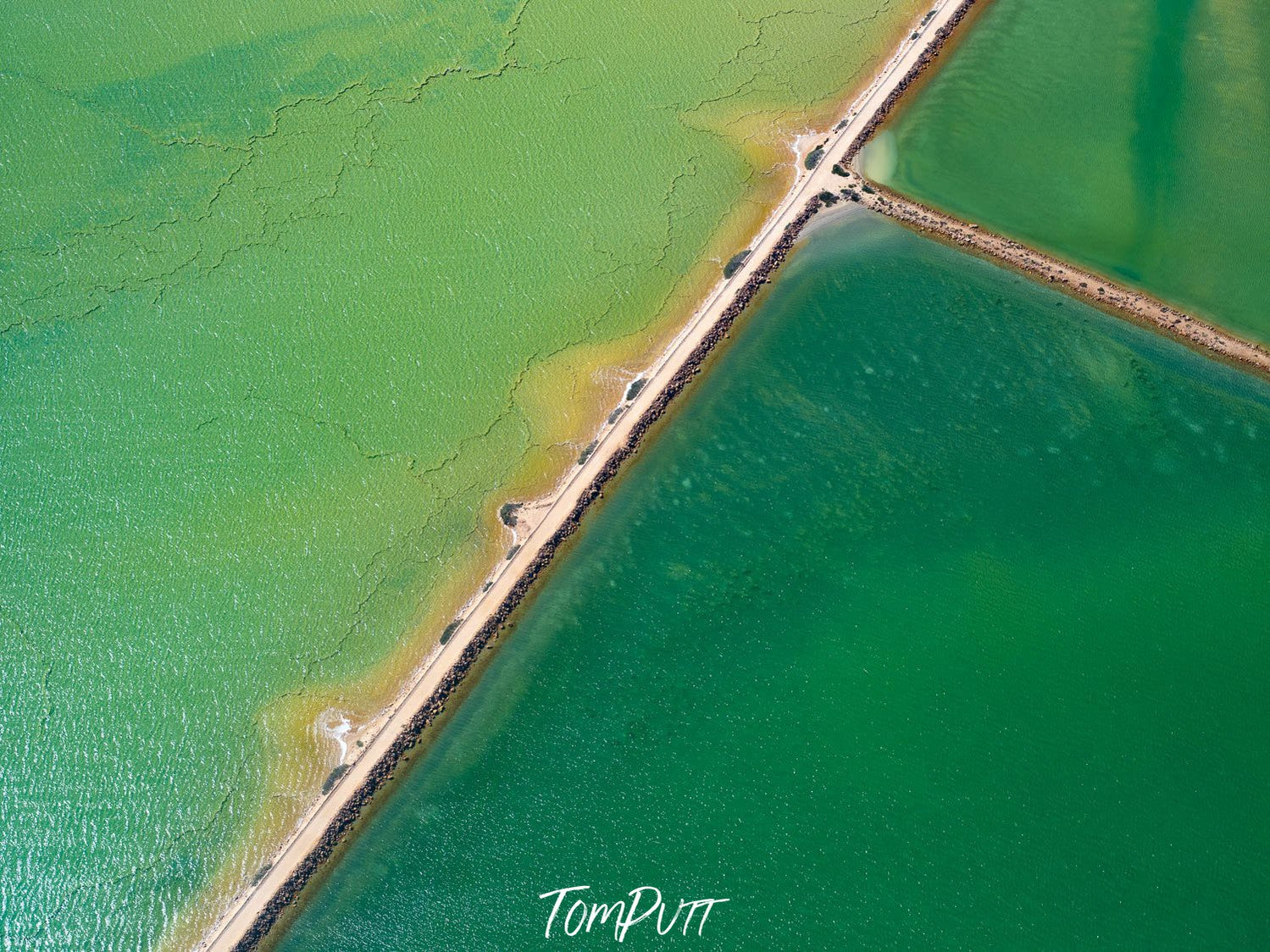 A wide shiny green oceanic texture with countless small cracks, and a woody path crossing the entire surface diagonally, Emerald Pools