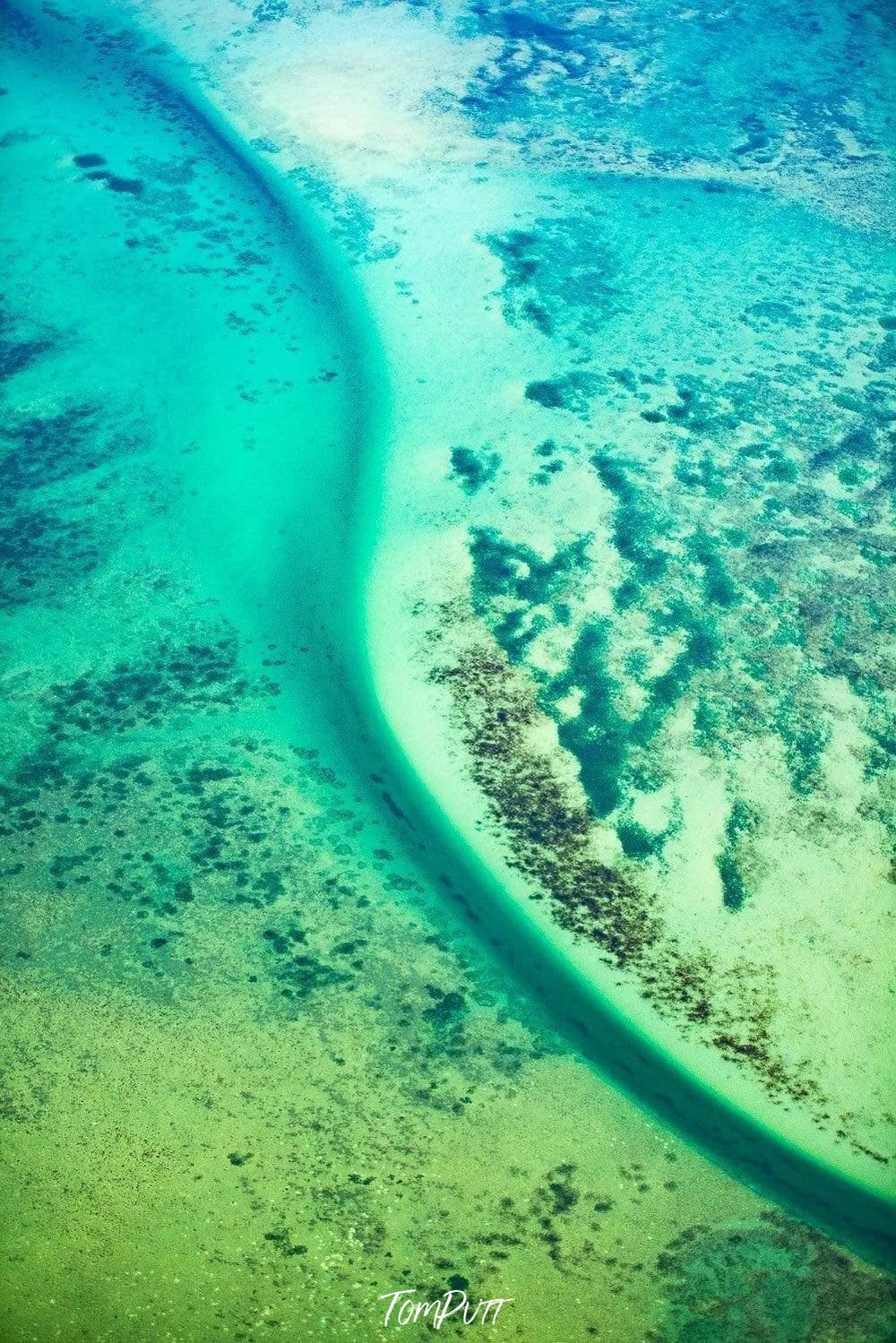 An underwater-like surface of greenish shade with a long curvy line covering the entire picture, and some small tree-like elements on the right side area, Emerald Green Wall Print