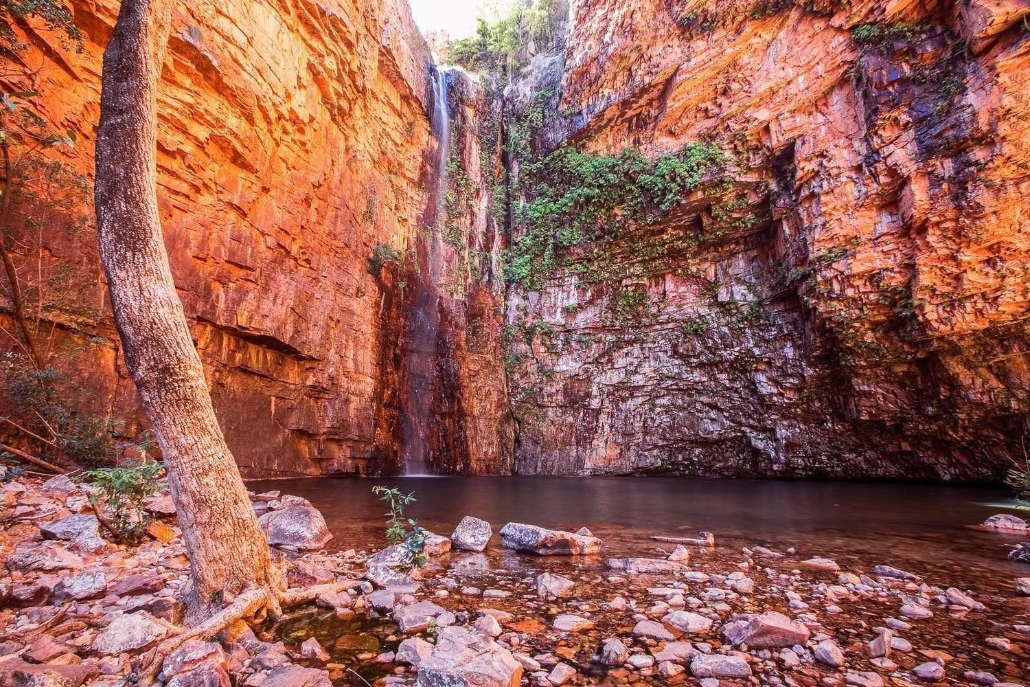 A beautiful area under two mountain walls of reddish shade, a small waterfall and a watercourse with a lot of stones on the corner, and a tree standing with no leaves, Emma Gorge, El Questro - The Kimberley WA