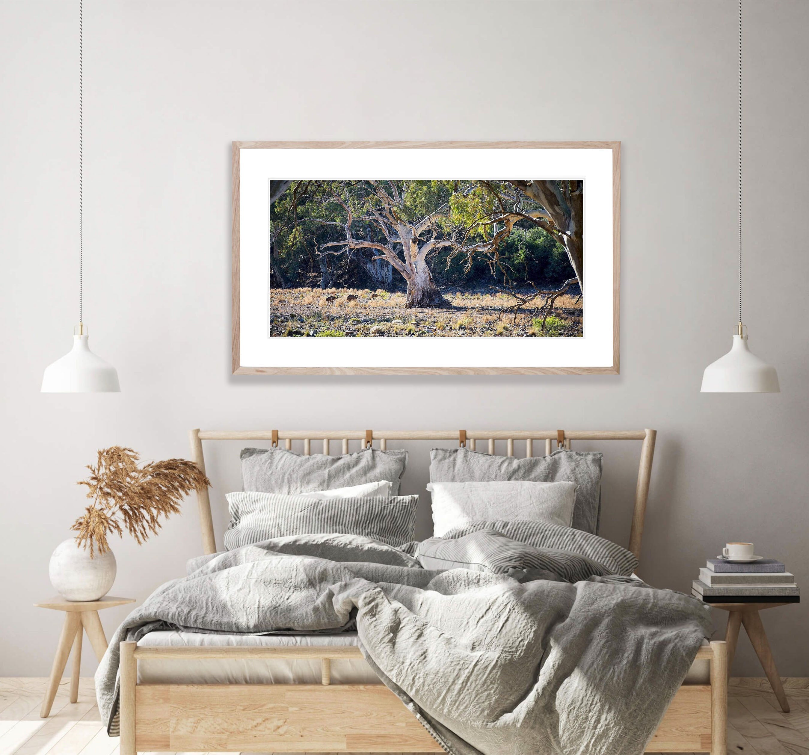 Emus and River Red Gums - Flinders Ranges SA