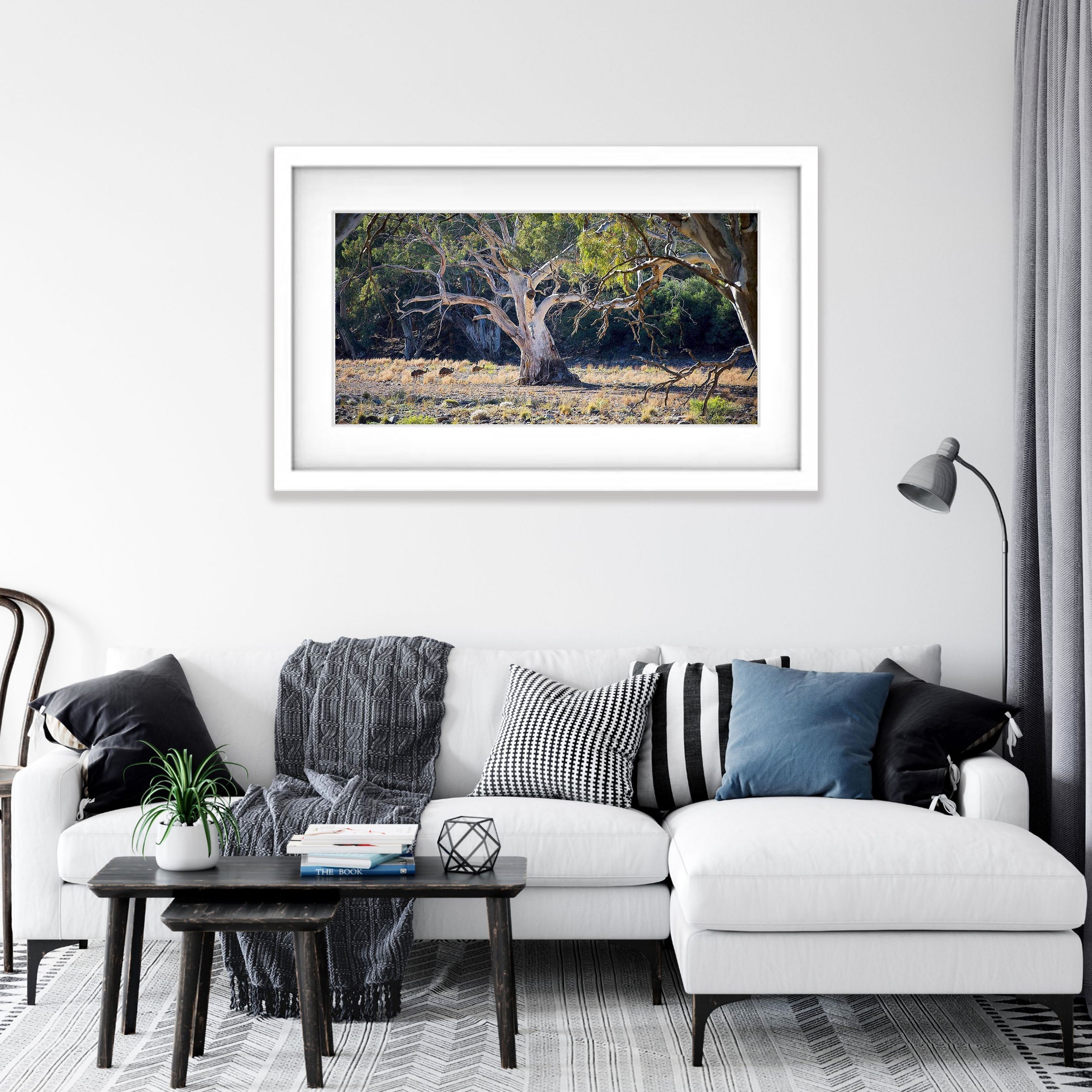 Emus and River Red Gums - Flinders Ranges SA