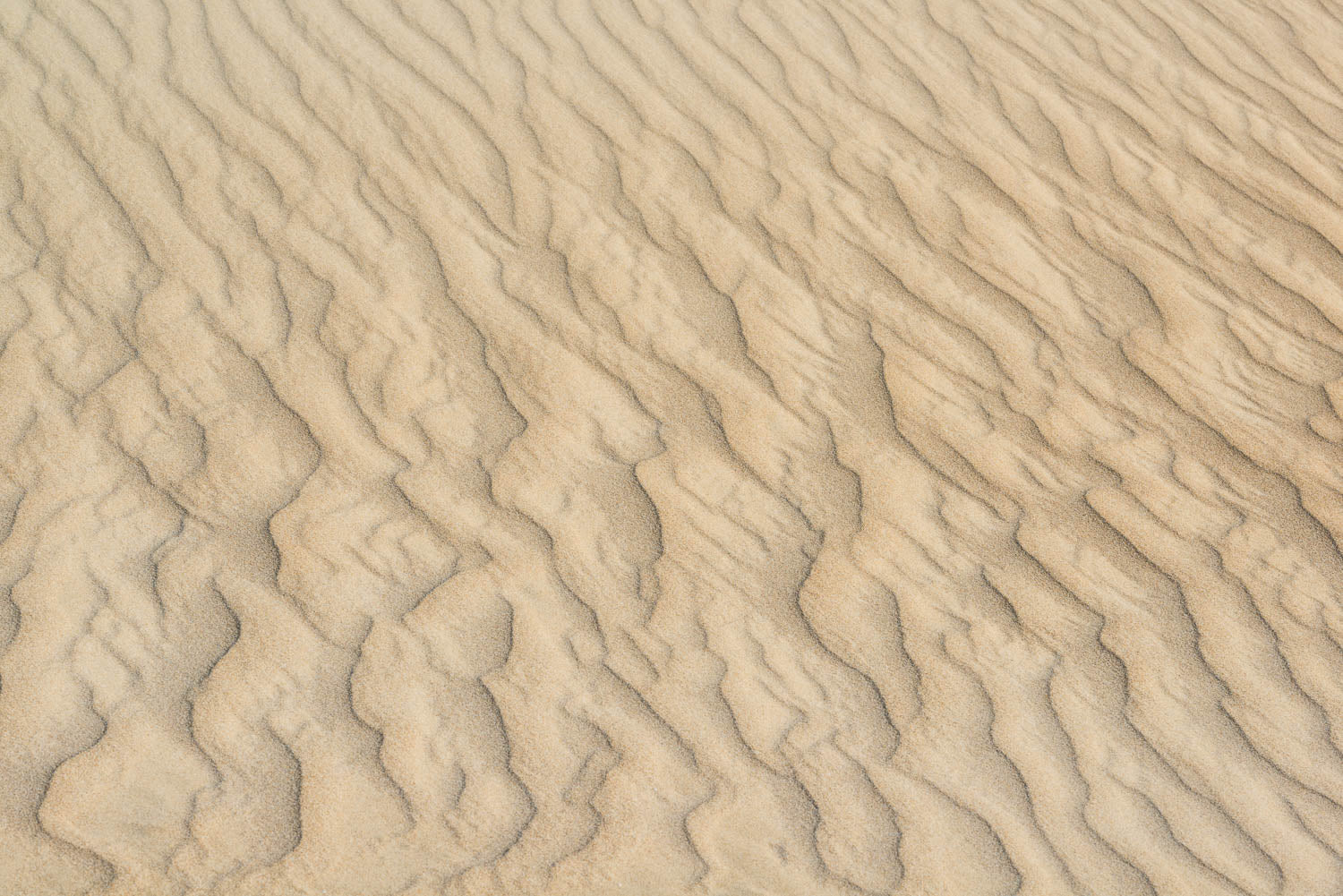 A desert with a texture of many small cracks and waves of sand, Eyre Peninsula #4