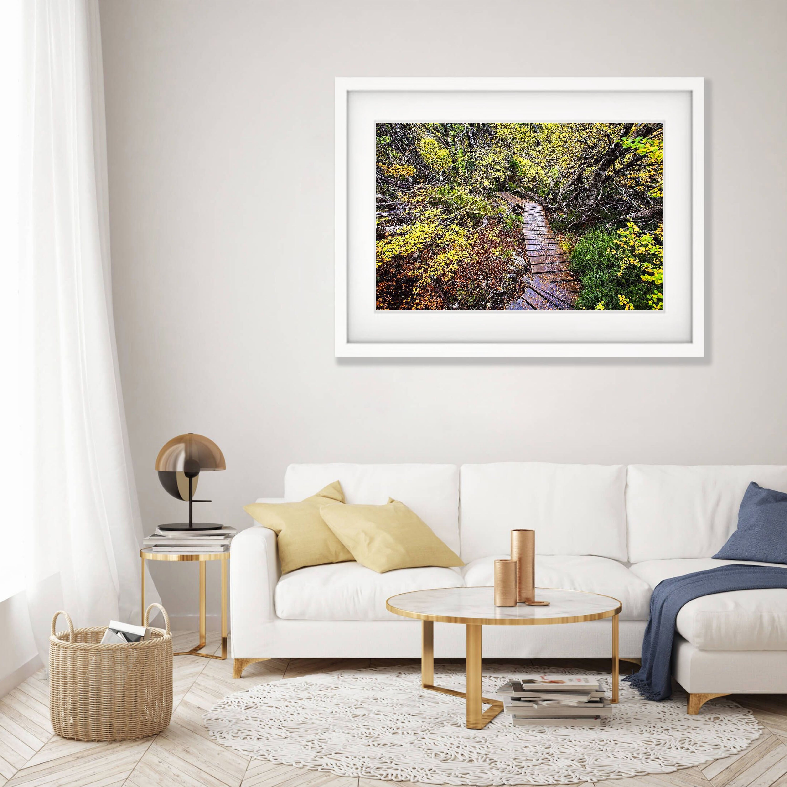 Fagus - Cradle Mountain TAS