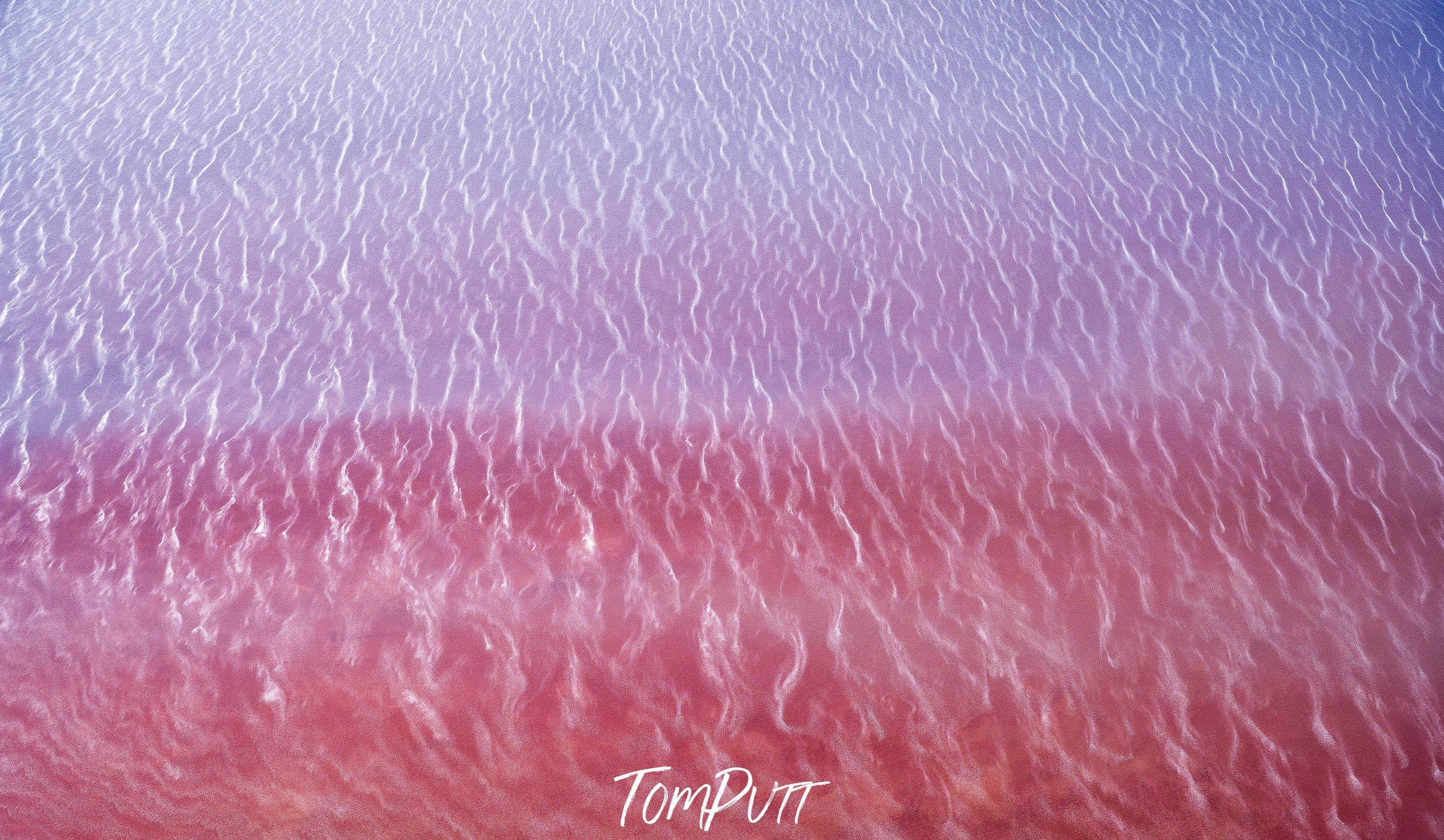 Fairy Floss, Madigan Gulf, Lake Eyre, SA