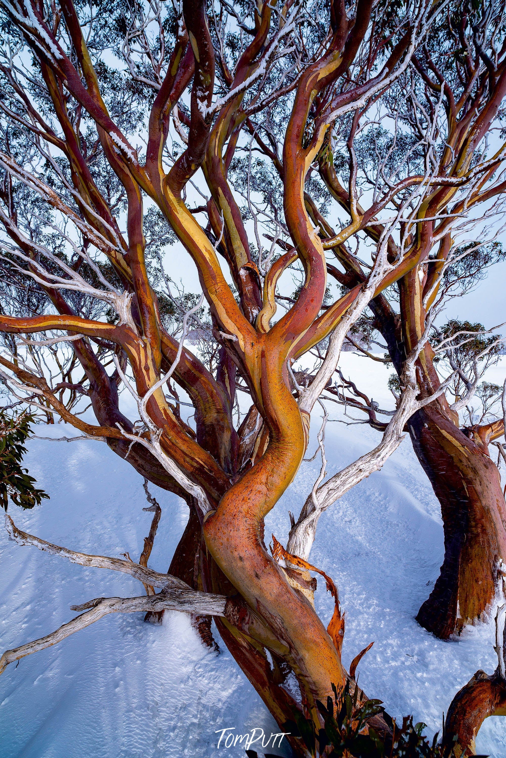 Falls Creek, Victorian High Country