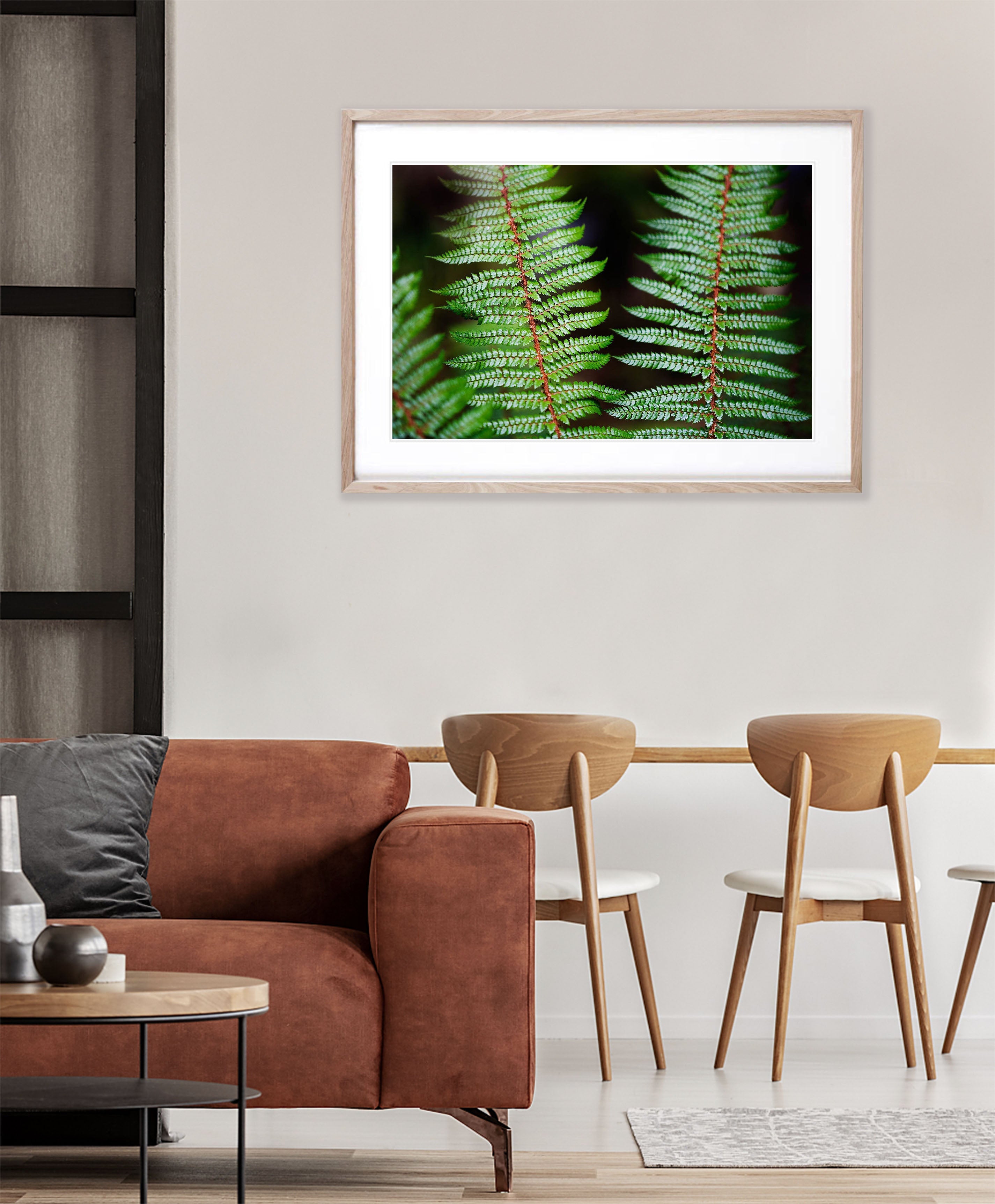 Fern Detail, Routeburn Track - New Zealand