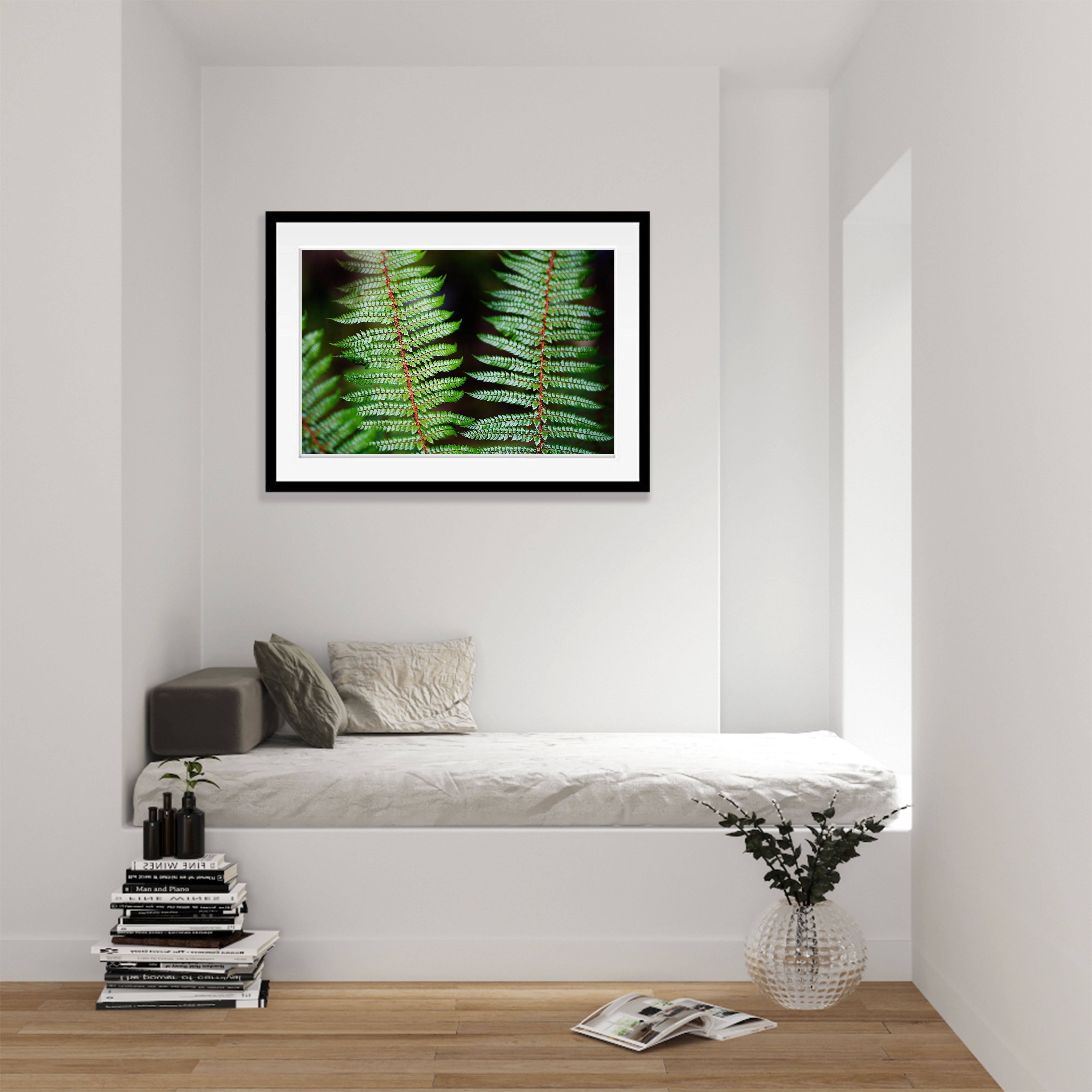 Fern Detail, Routeburn Track - New Zealand