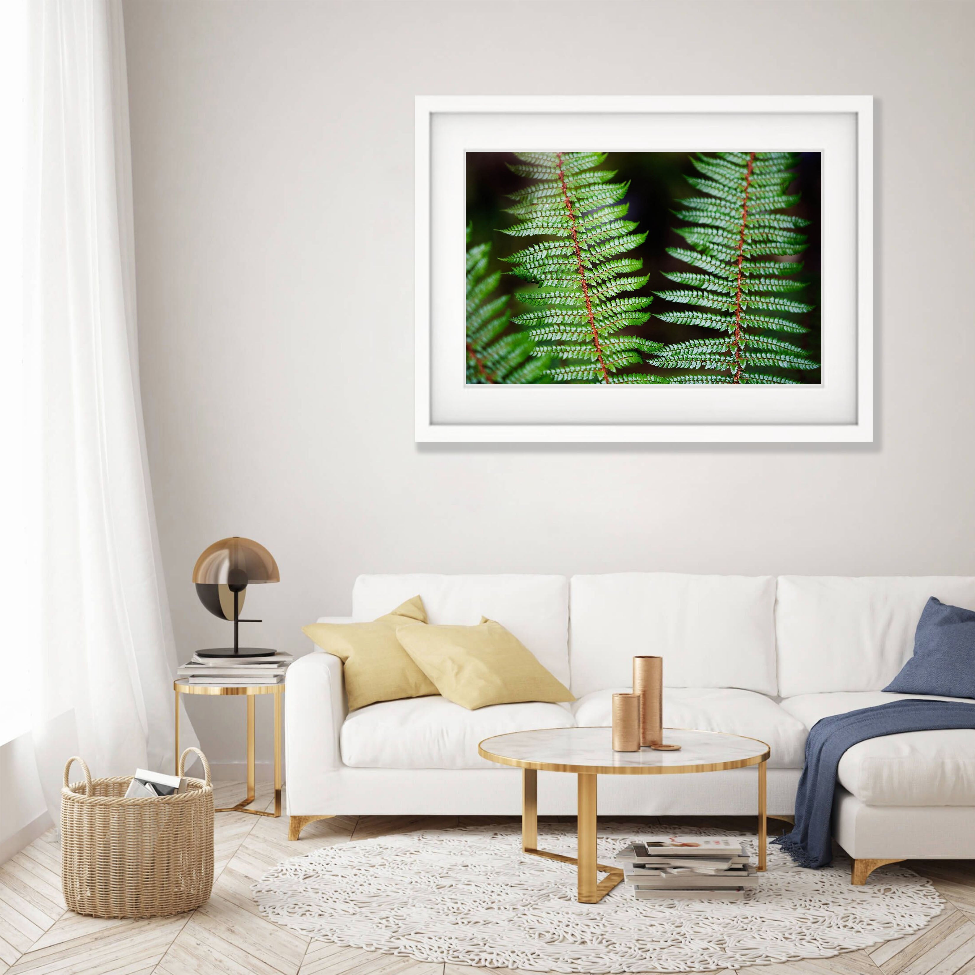 Fern Detail, Routeburn Track - New Zealand