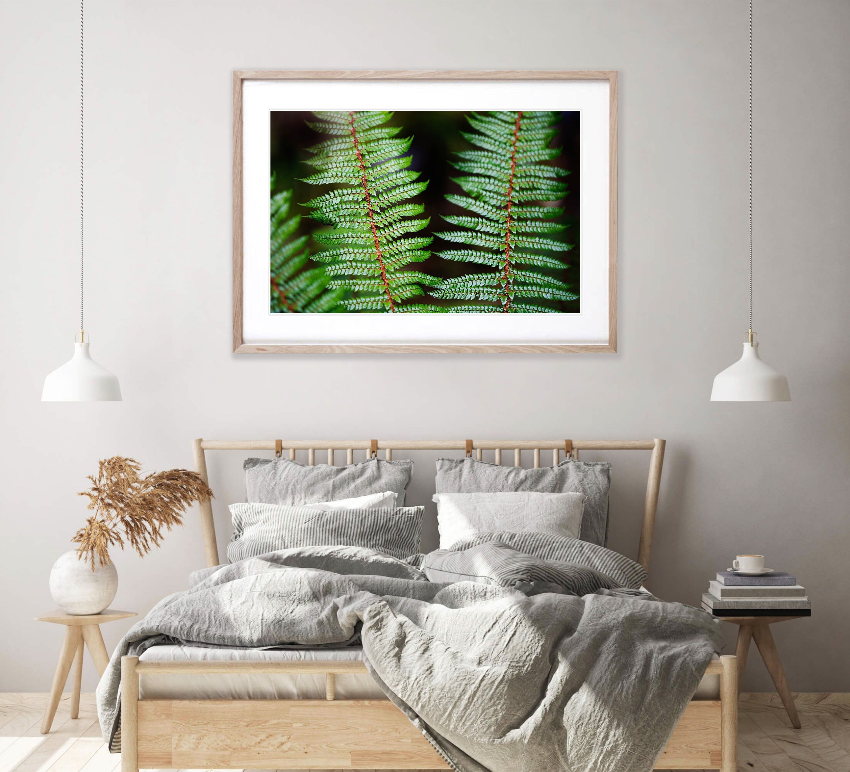 Fern Detail, Routeburn Track - New Zealand