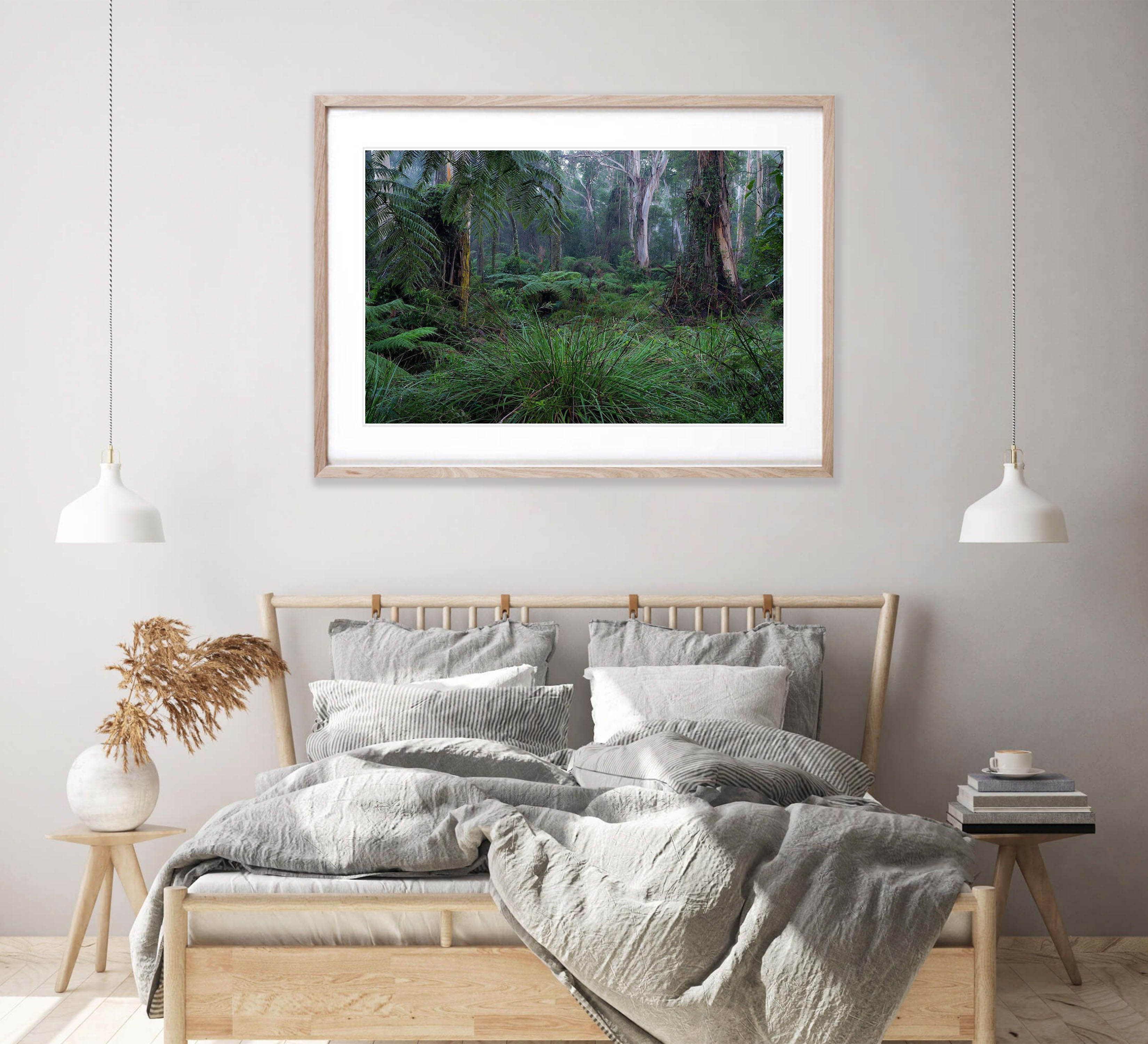 Fern Gully Rainforest, Mornington Peninsula, VIC