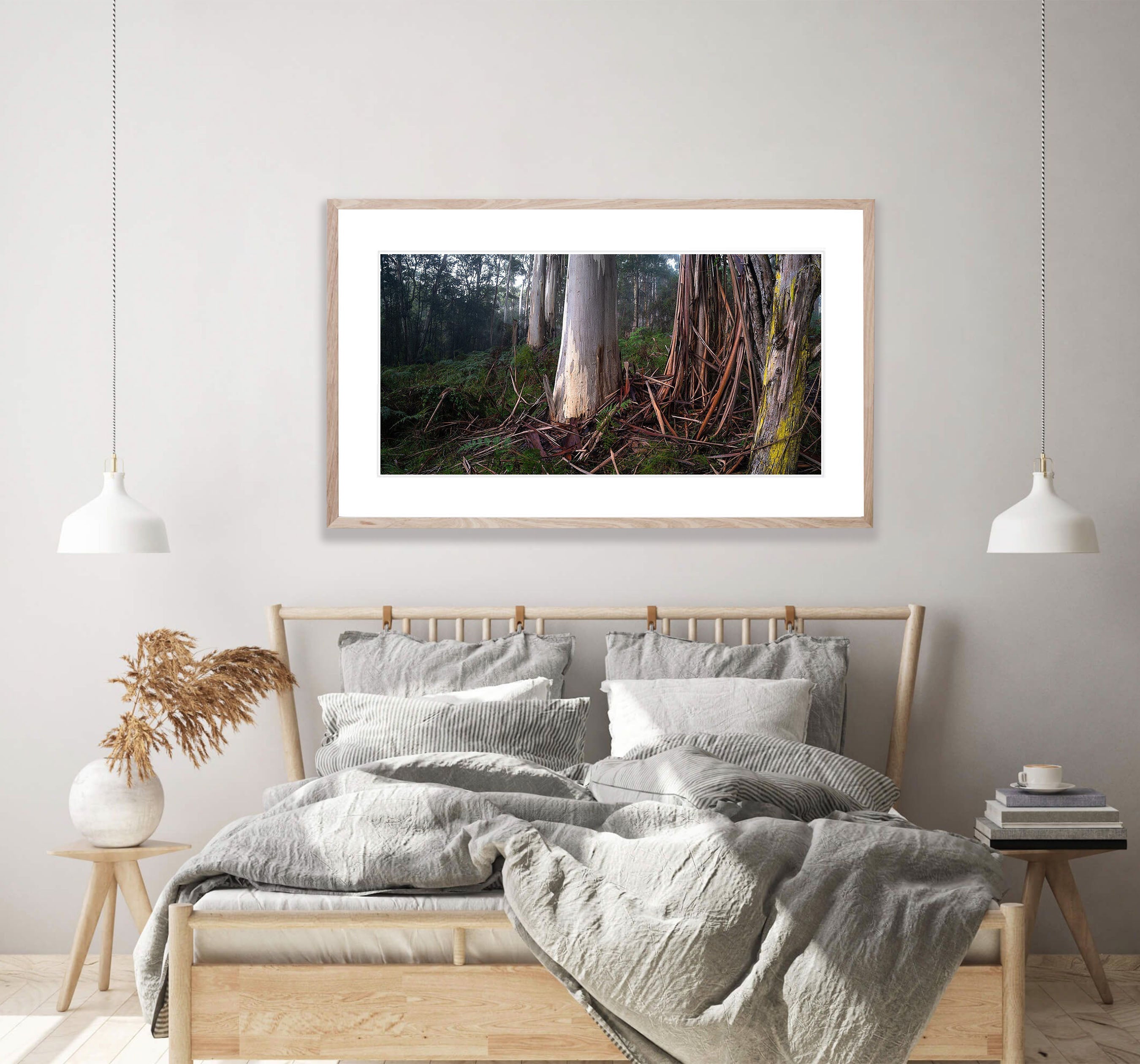 Fern Gully Tree Trunks, Mornington Peninsula, VIC