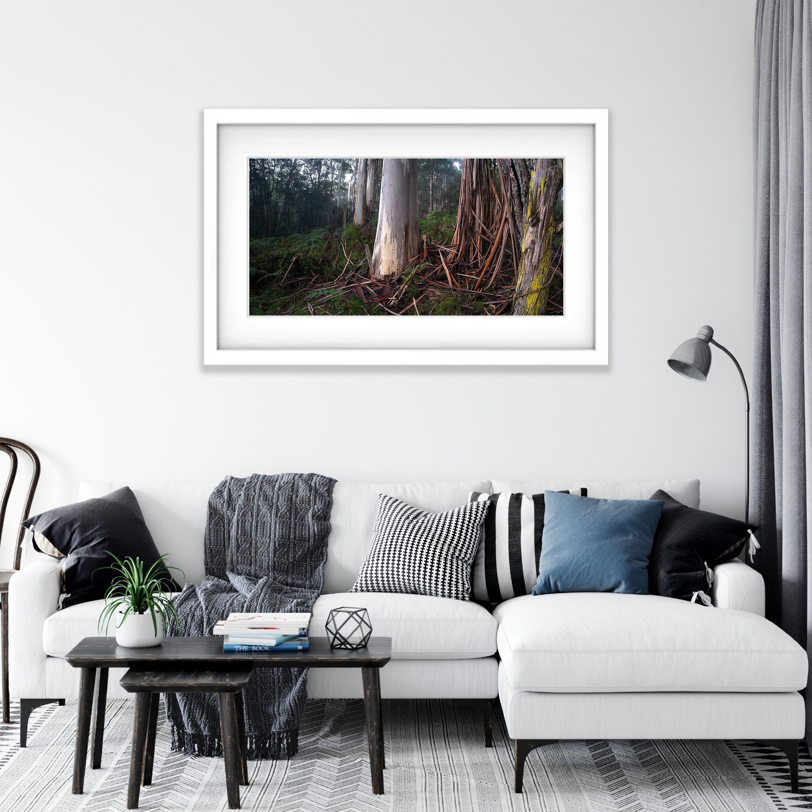 Fern Gully Tree Trunks, Mornington Peninsula, VIC
