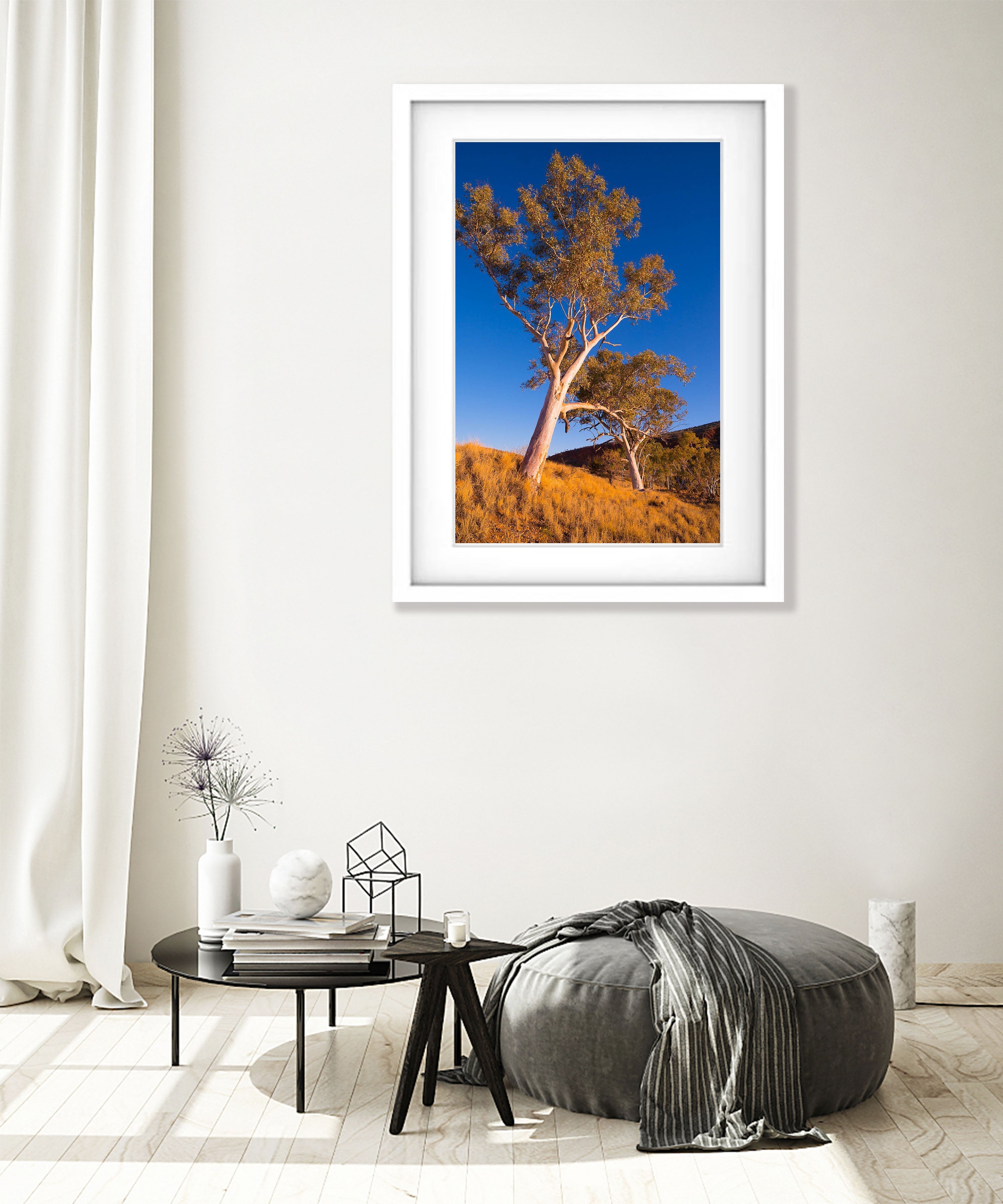 Finke River Red Gums, West MacDonnell Ranges - Northern Territory