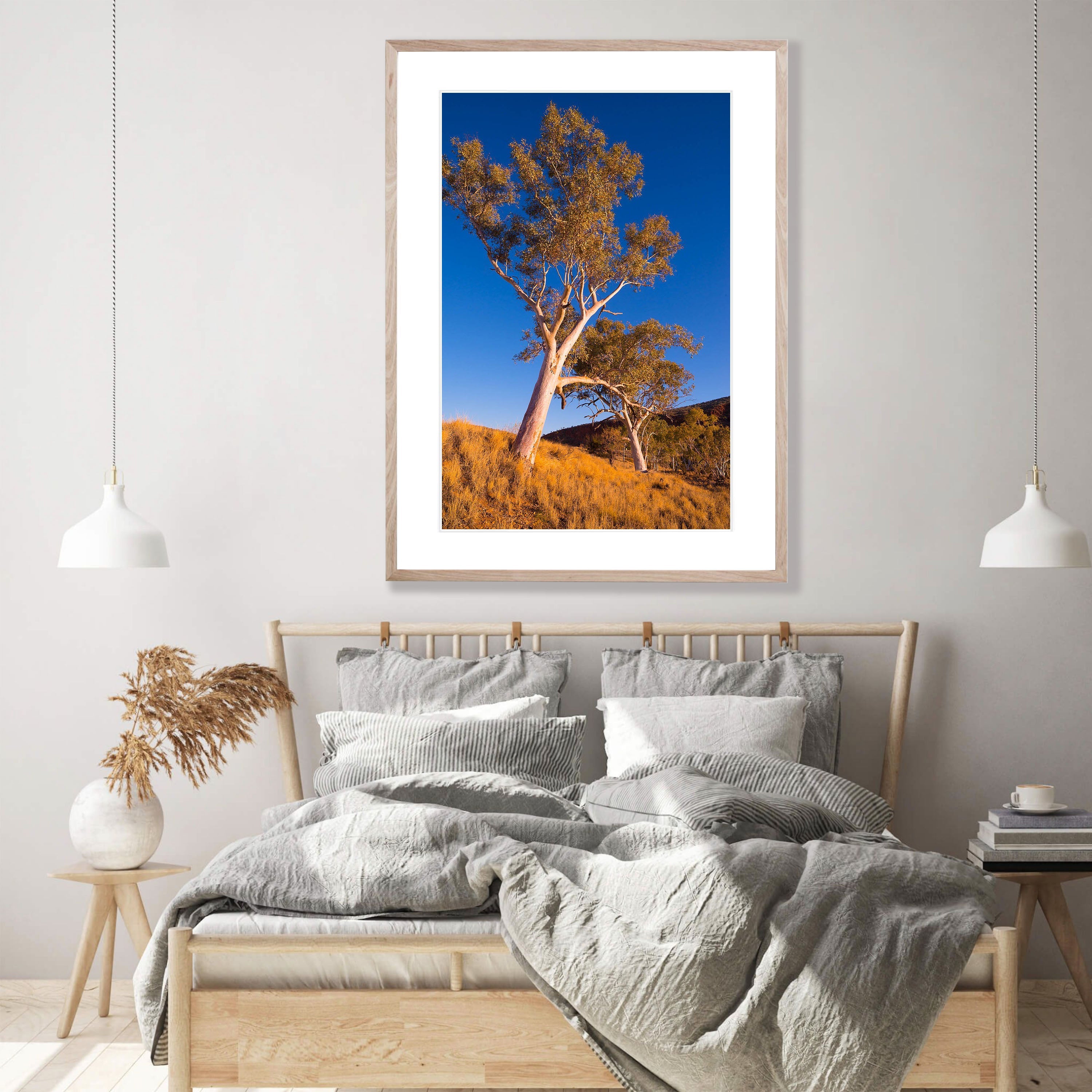 Finke River Red Gums, West MacDonnell Ranges - Northern Territory