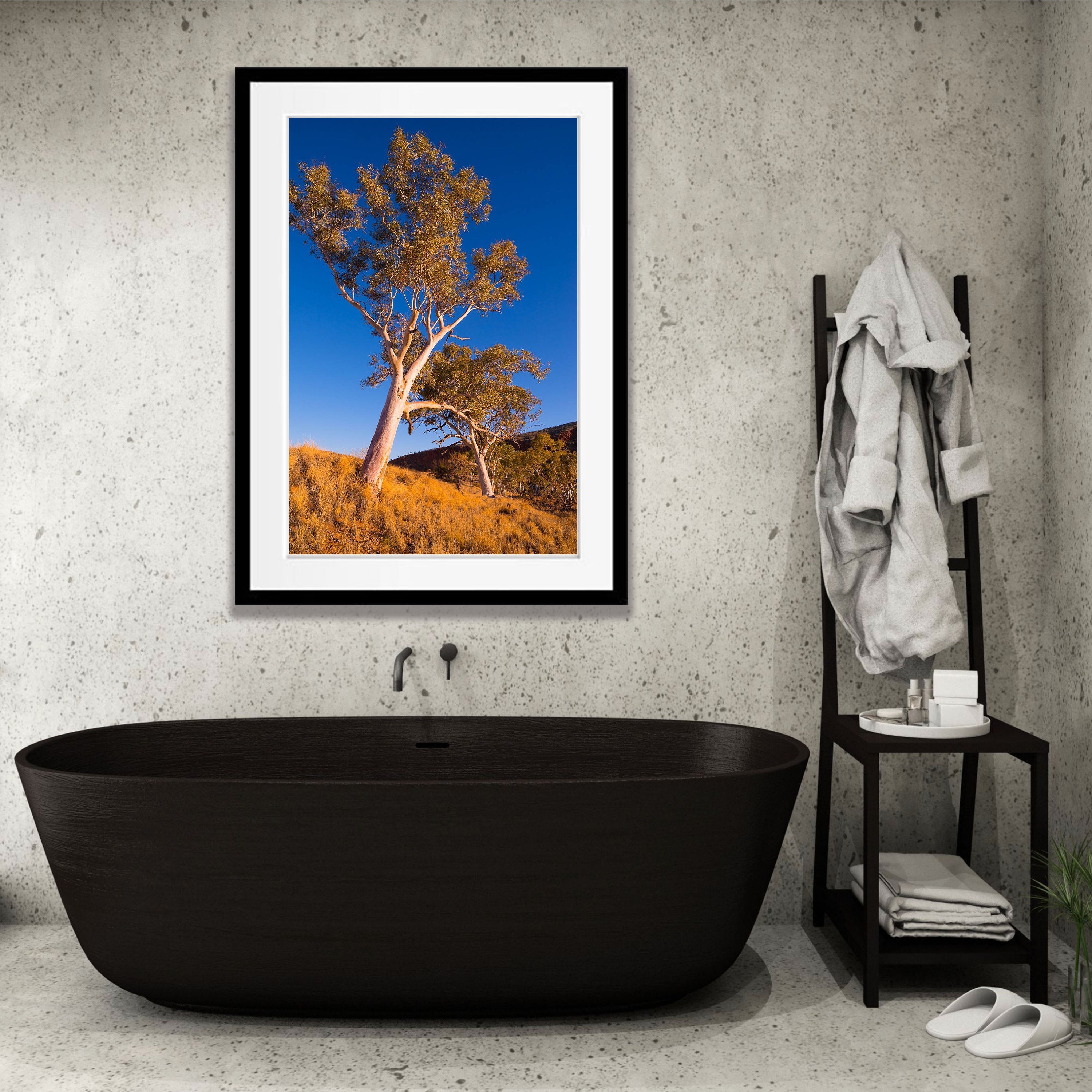 Finke River Red Gums, West MacDonnell Ranges - Northern Territory