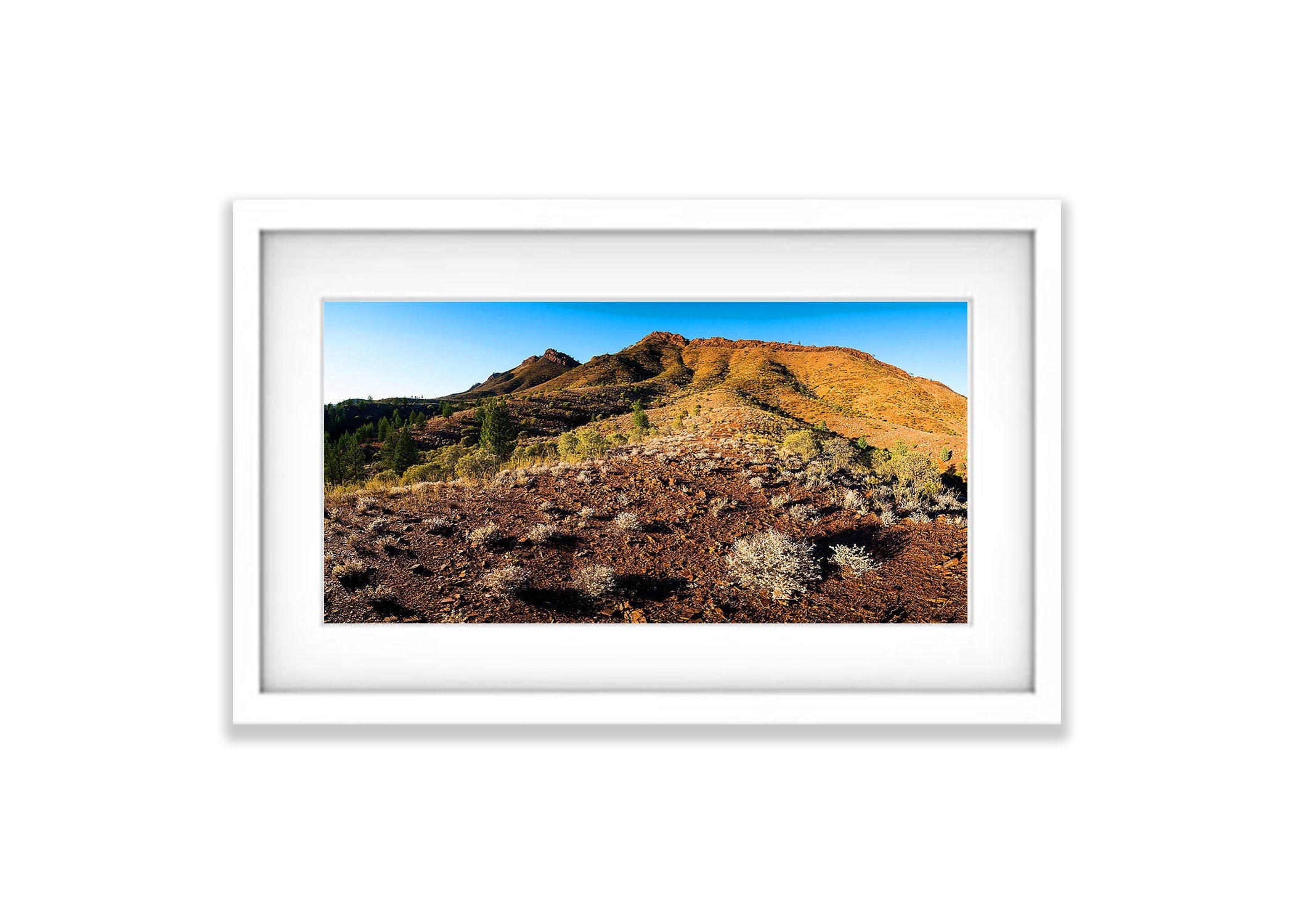 Flinders Ranges No.1