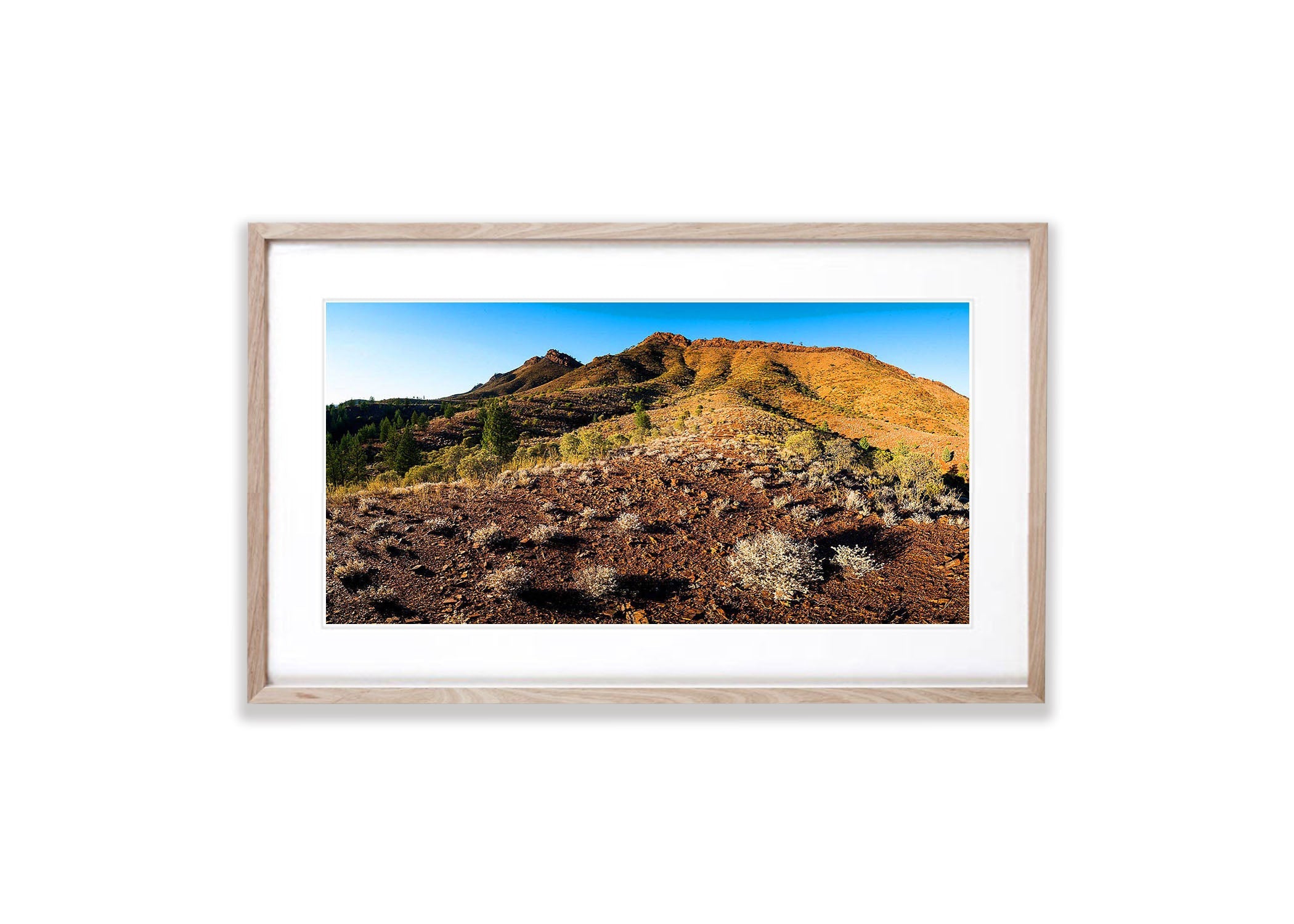 Boundless Beauty, Flinders Ranges, SA