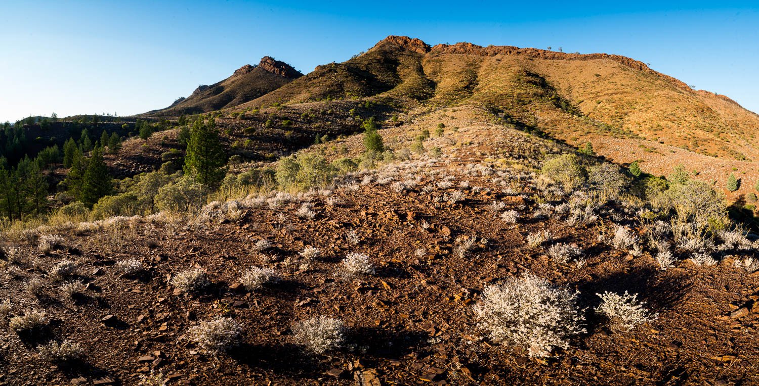 A high mountain, and some bushes and dark brown soil on the ground, Flinders Ranges #1 