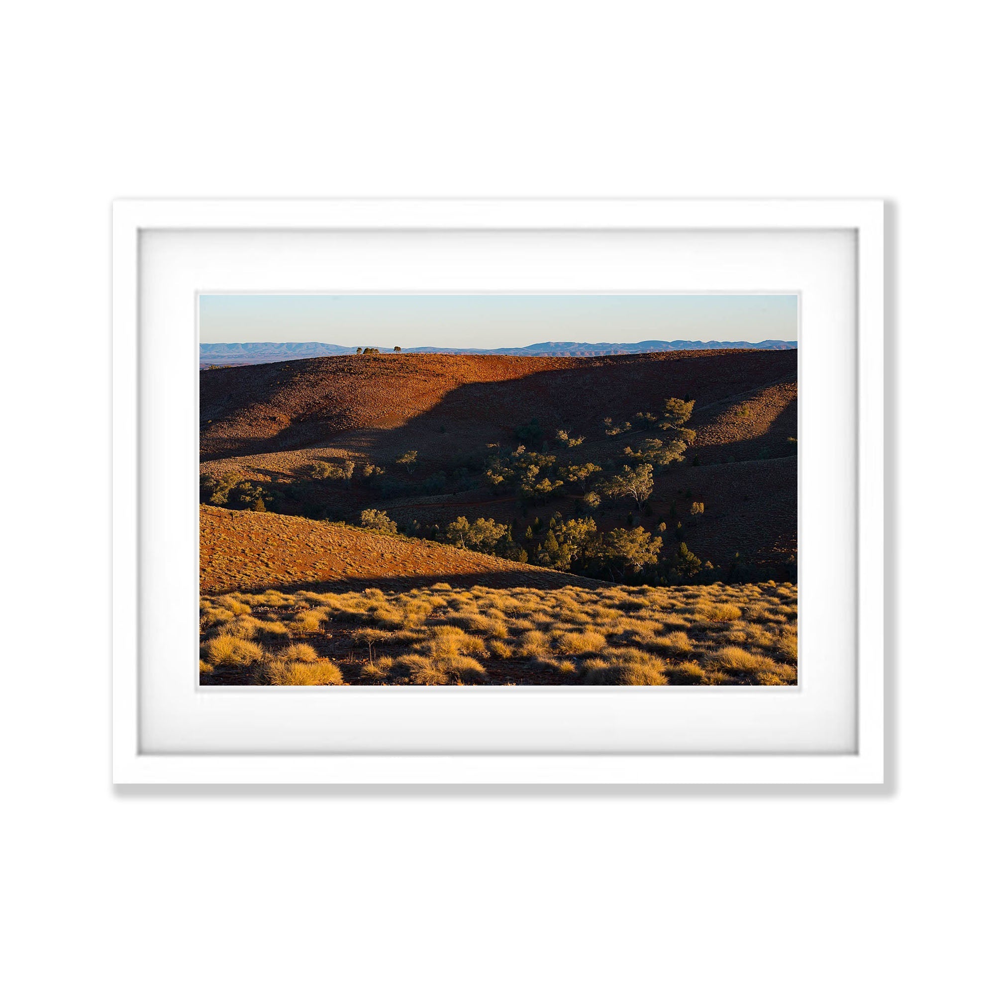 Golden Tranquility, Flinders Ranges, SA